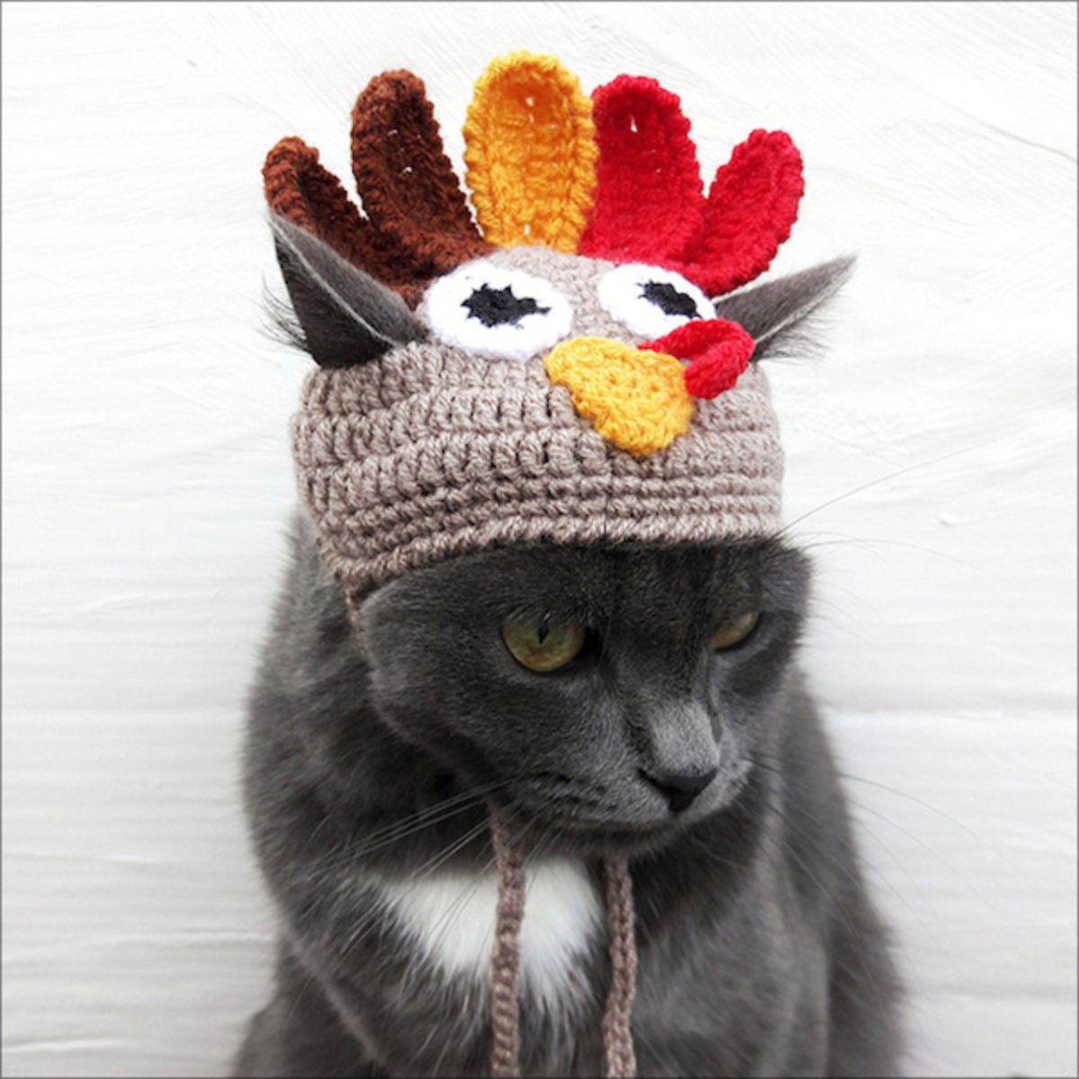 grey and white cat wearing a grey brown yellow red black and white rooster crocheted beanie