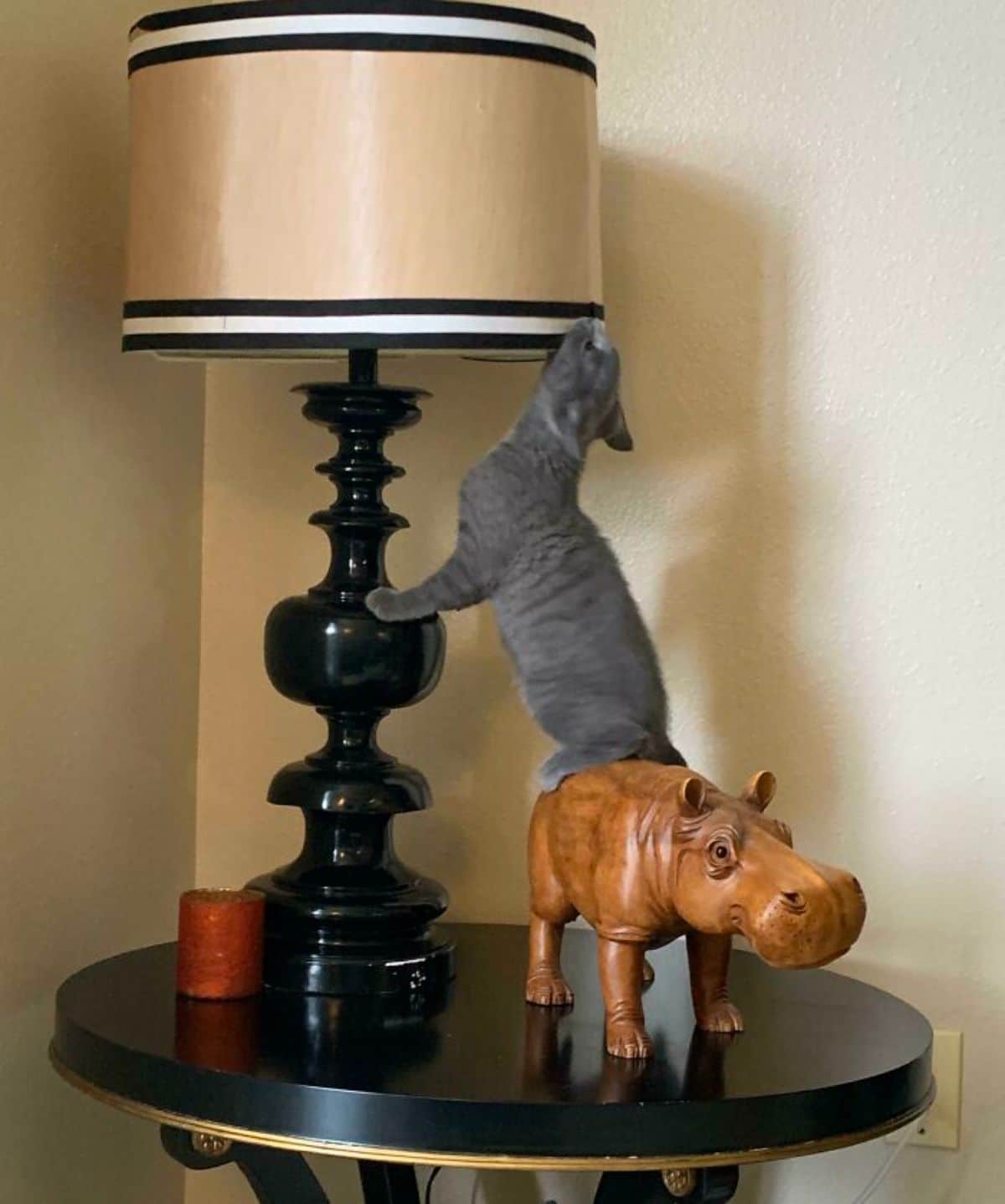 grey cat standing on a wooden hippo statue on a table and chewing on a brown white and black lampshade