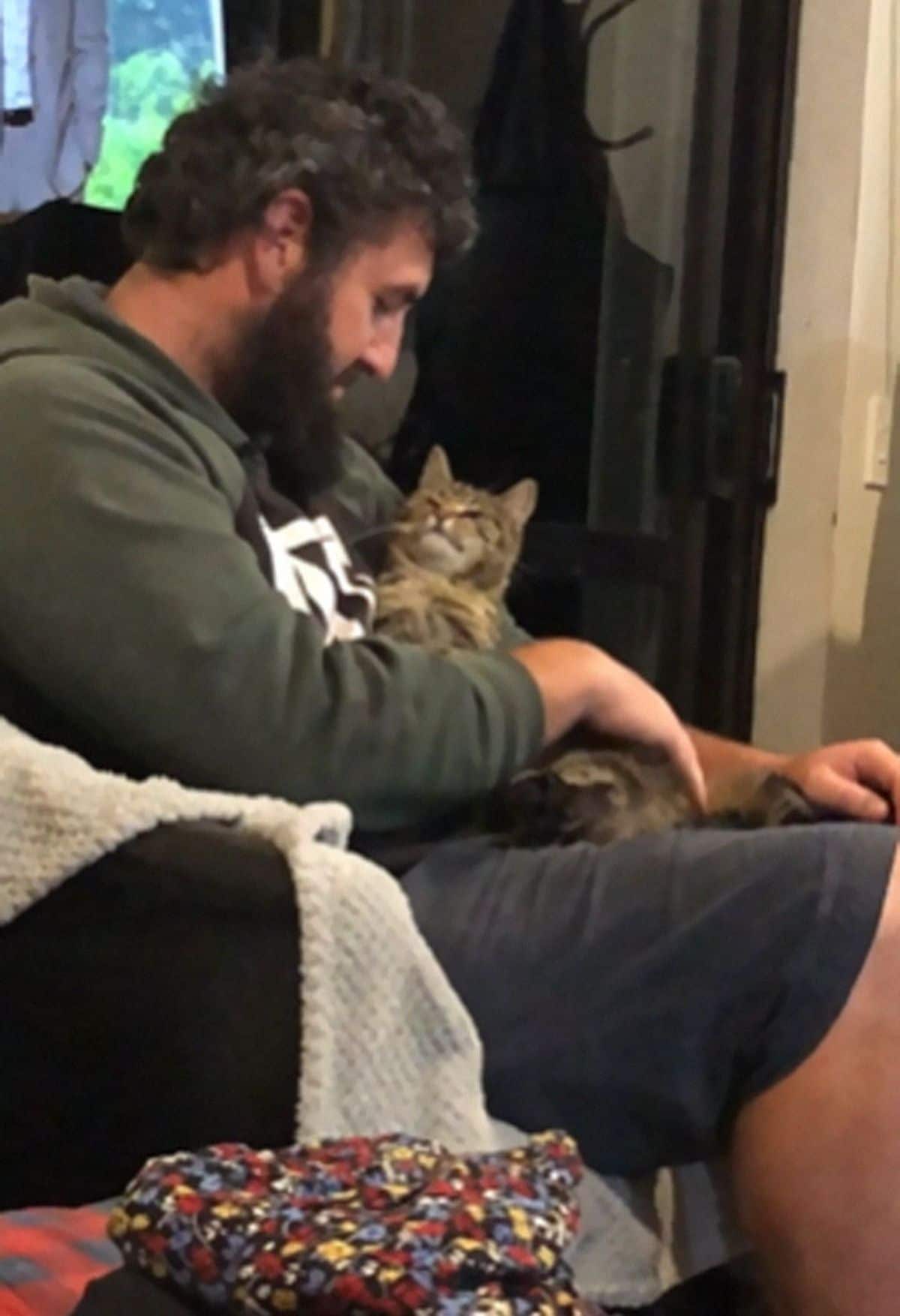 grey tabby cat being cuddled by a man on his lap