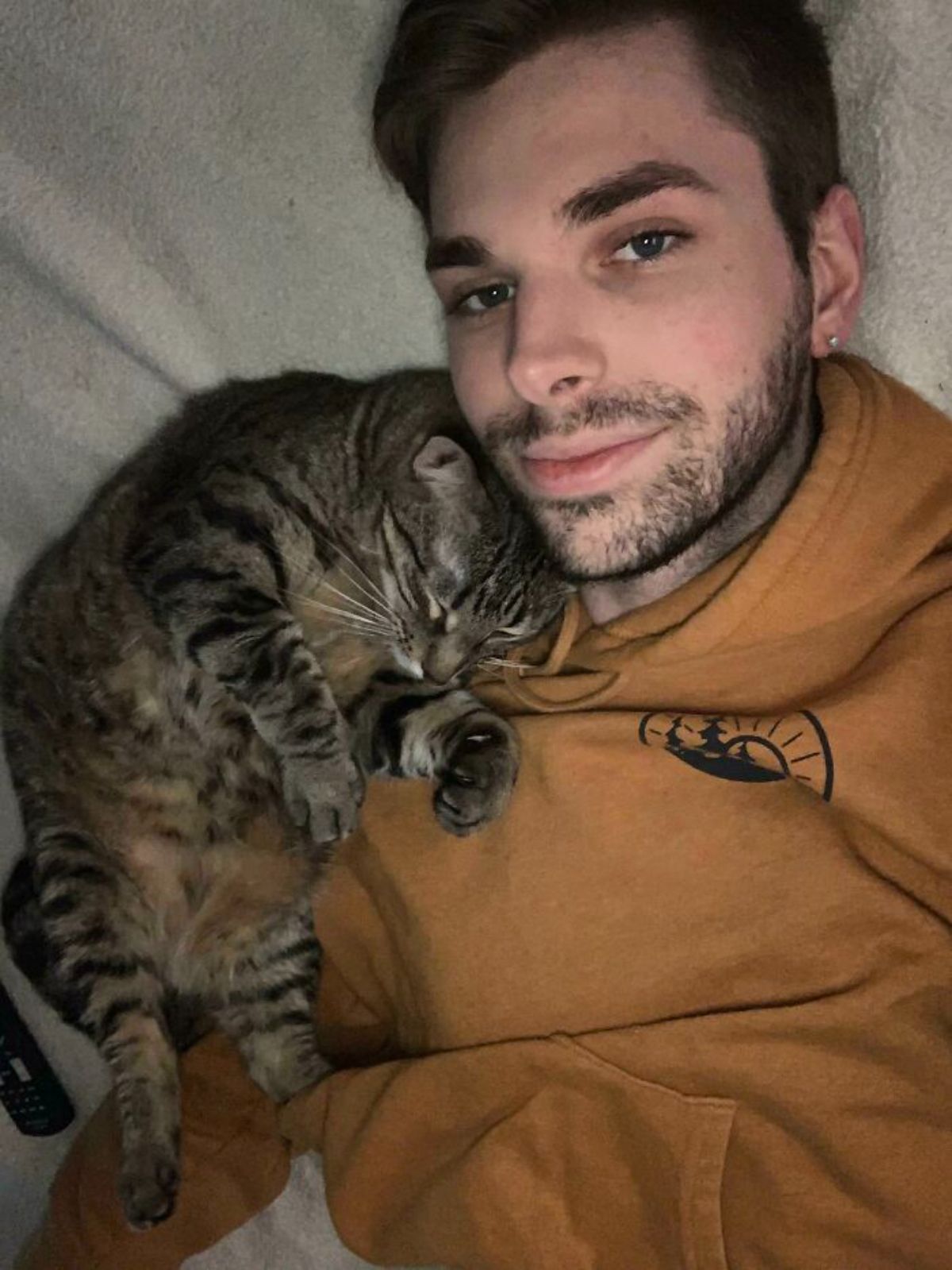 grey tabby cat cuddling with a man