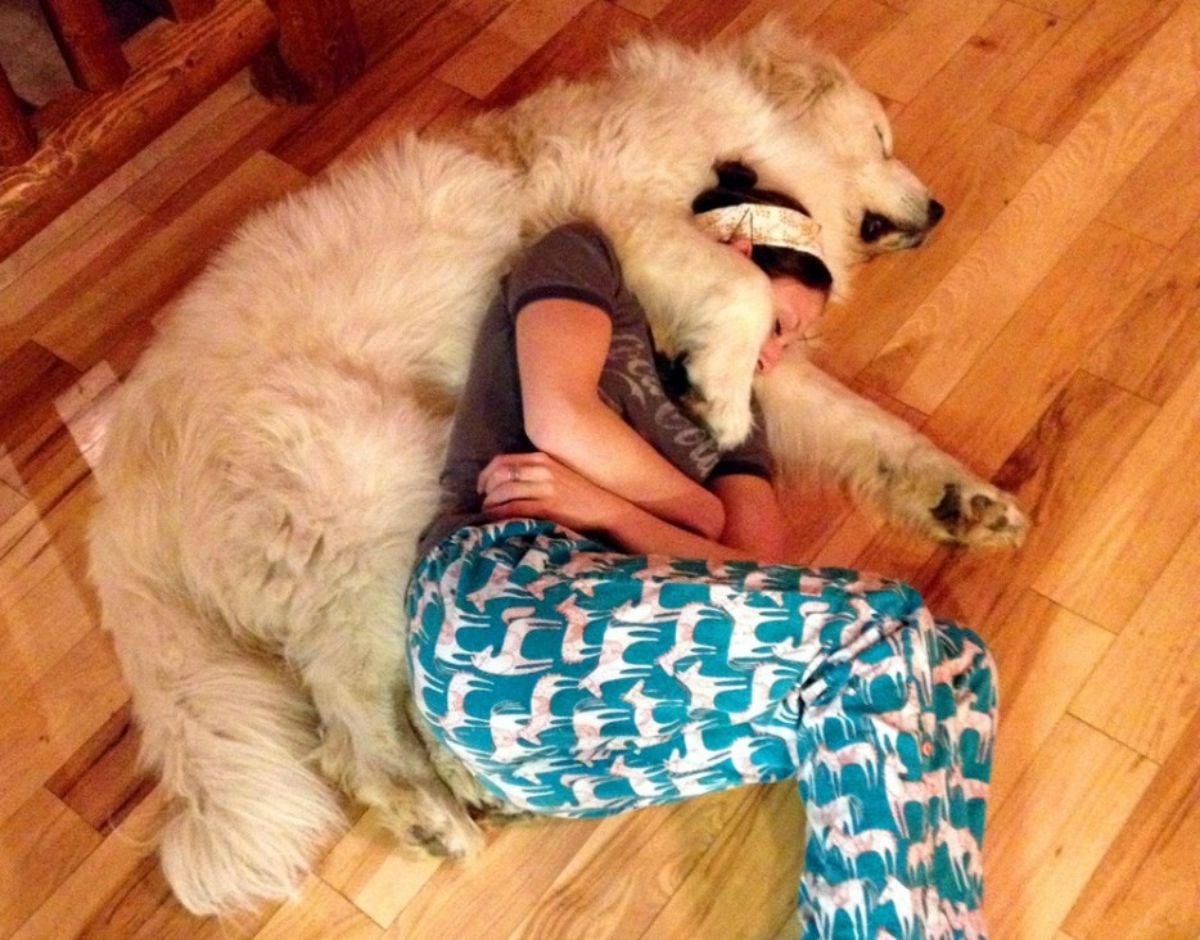 large fluffy light brown dog sleeping on the floor with one front leg over a woman sleeping cuddled against the dog
