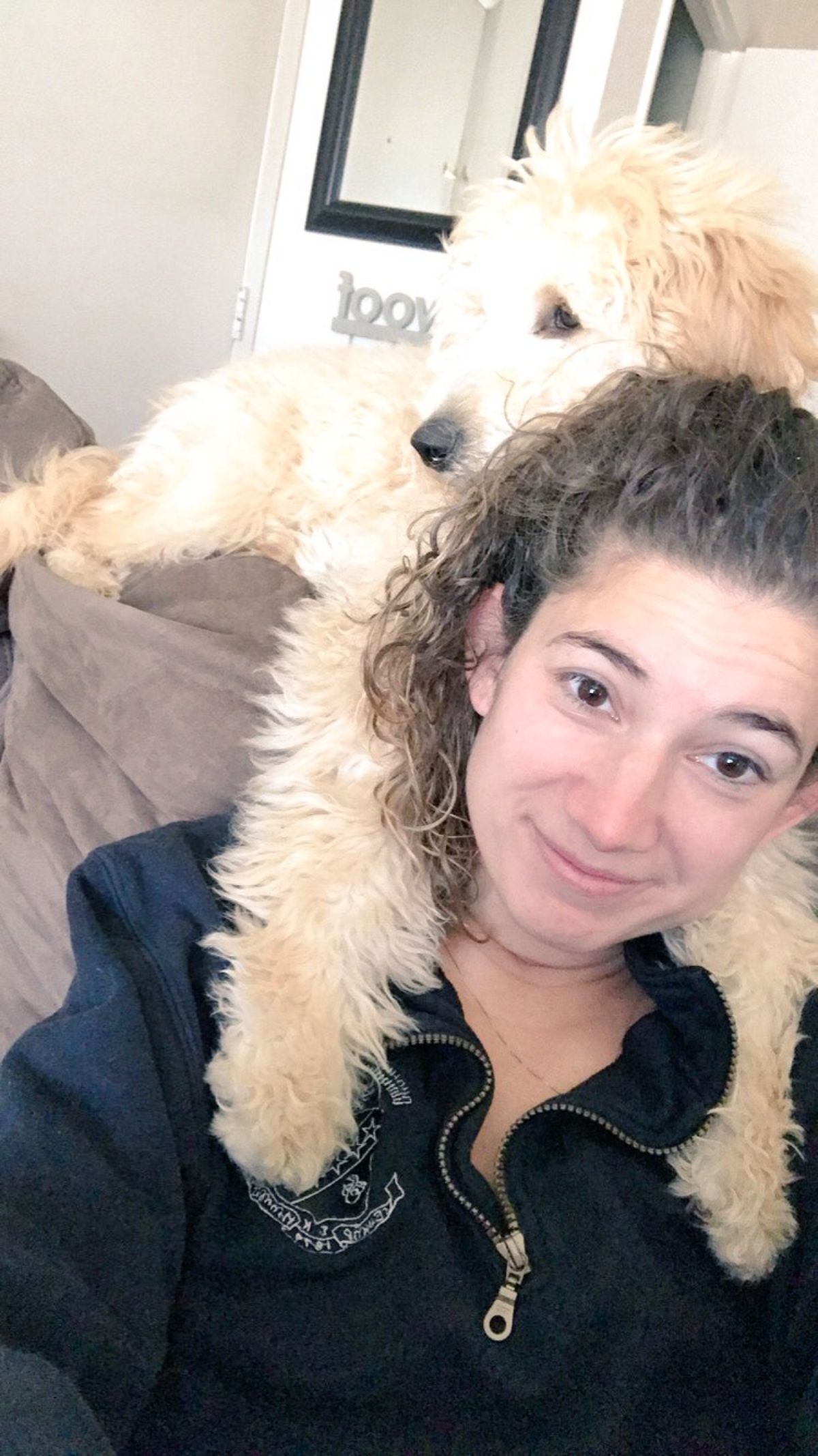 light brown poodle laying on the top of a brown sofa and putting front legs around a woman's shoulder while she's sitting on the sofa