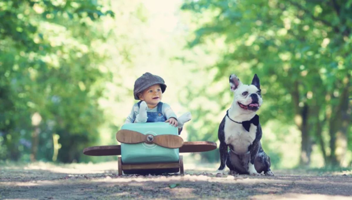 little boy driving a toy car with a black and white dog next to him on a path