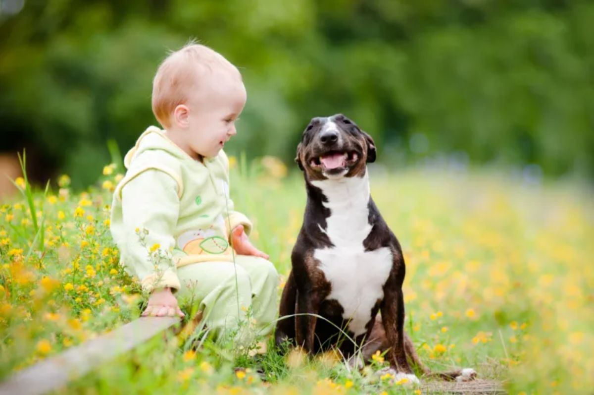 little child sitting next to a black and white dog amid grass and flowers