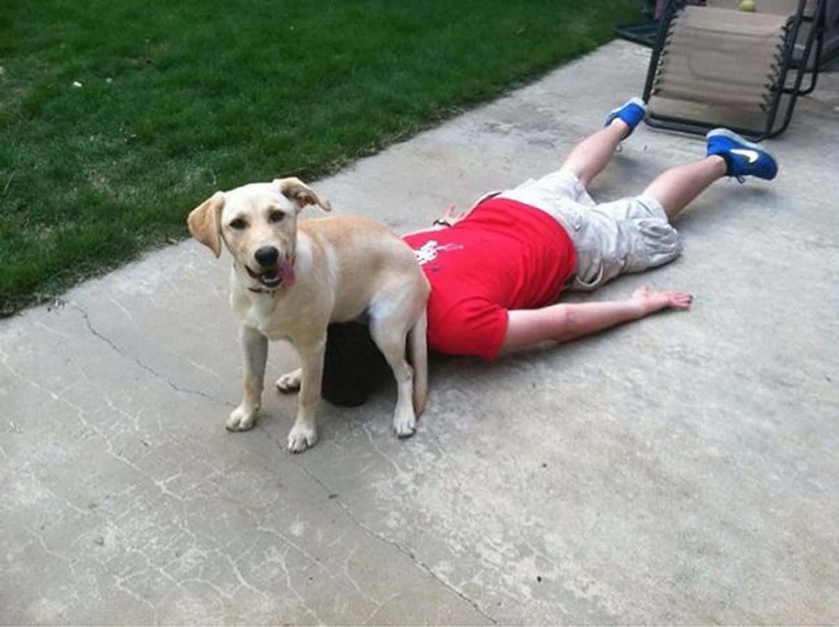 man laying down on concrete with a labrador retriever sitting on the person's head