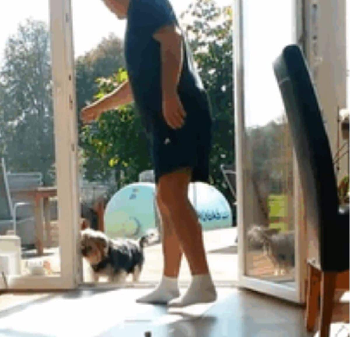man pretending to open a terrace door for small black and brown dog to come in