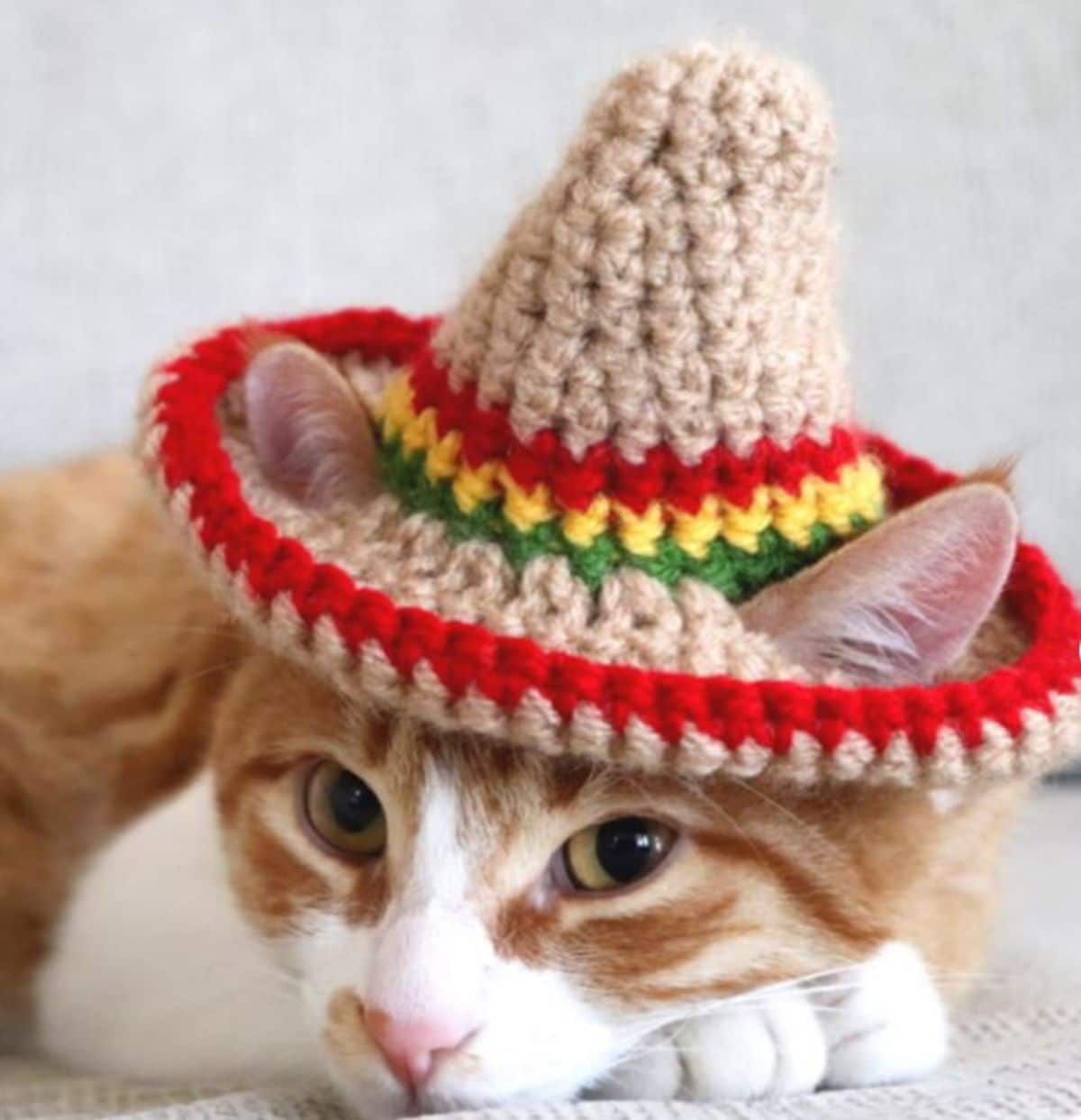 orange and white cat wearing a crocheted brown red green and yellow cowboy hat