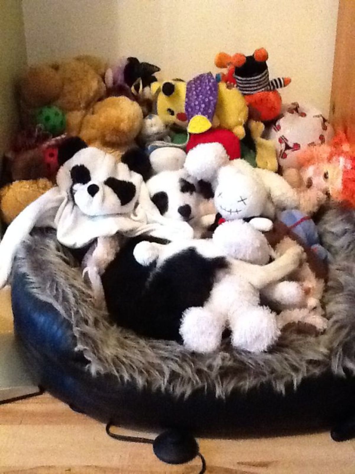 puppy hidden in a large pile of stuffed toys on a grey and black dog bed