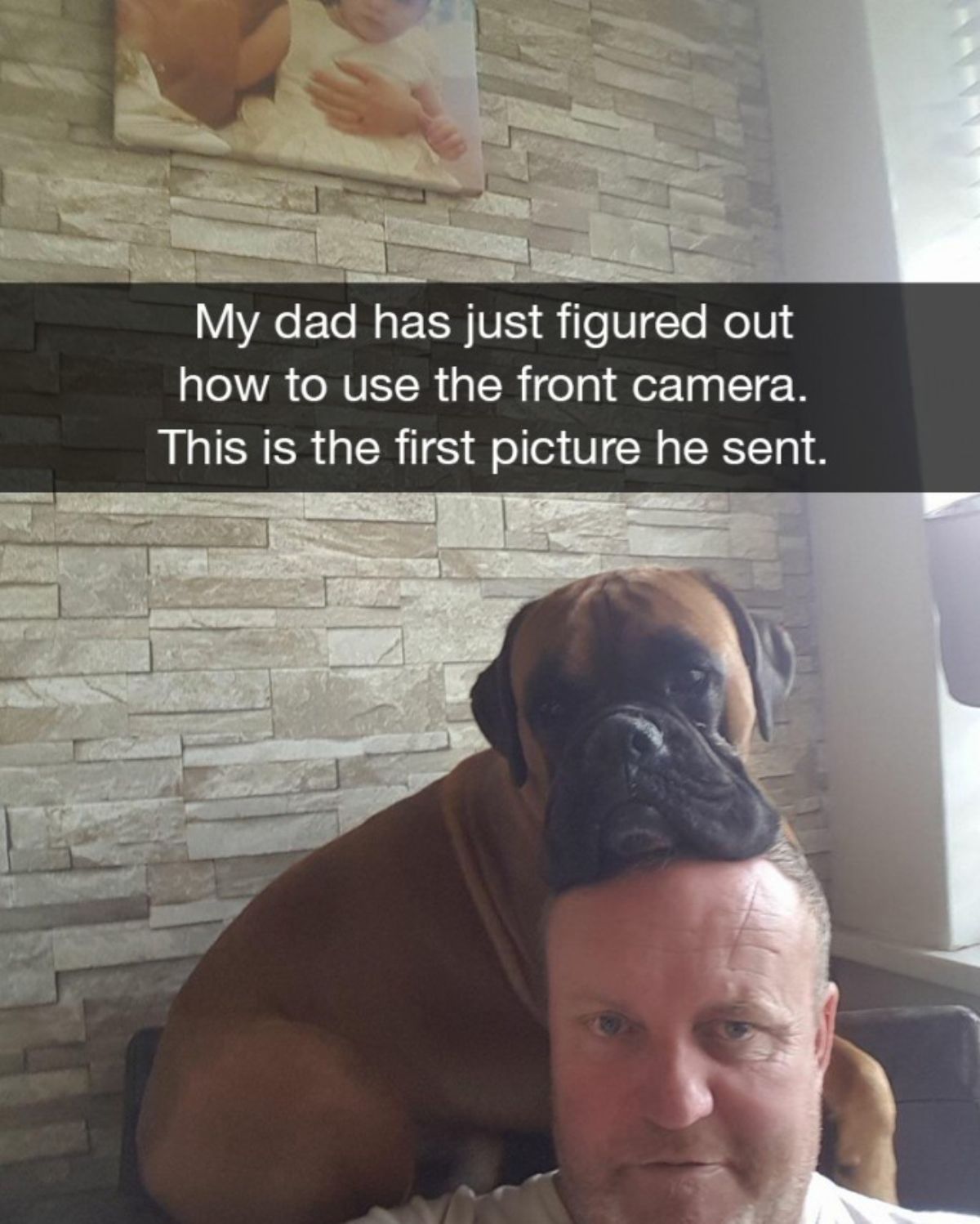 selfie of brown boxer placing the chin on a bald man's head