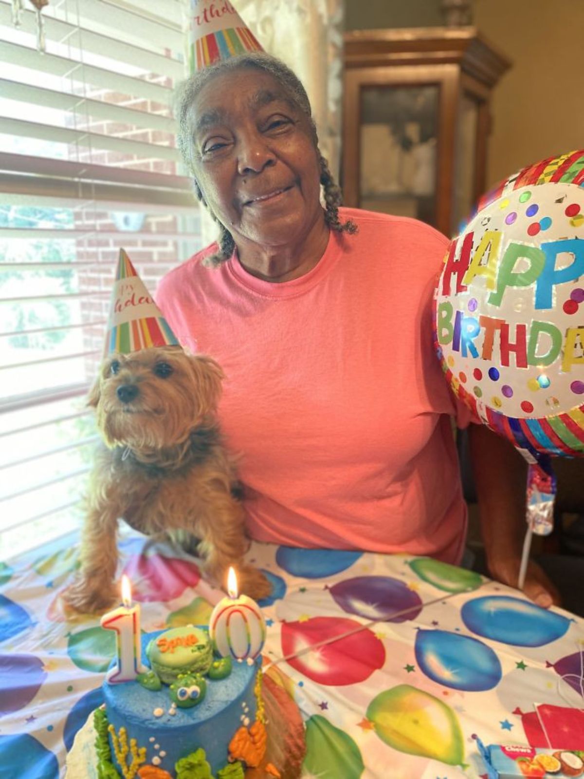 small fluffy brown dog in a birthday party hat being held by an old woman in a birthday hat with a birthday cake and a balloon