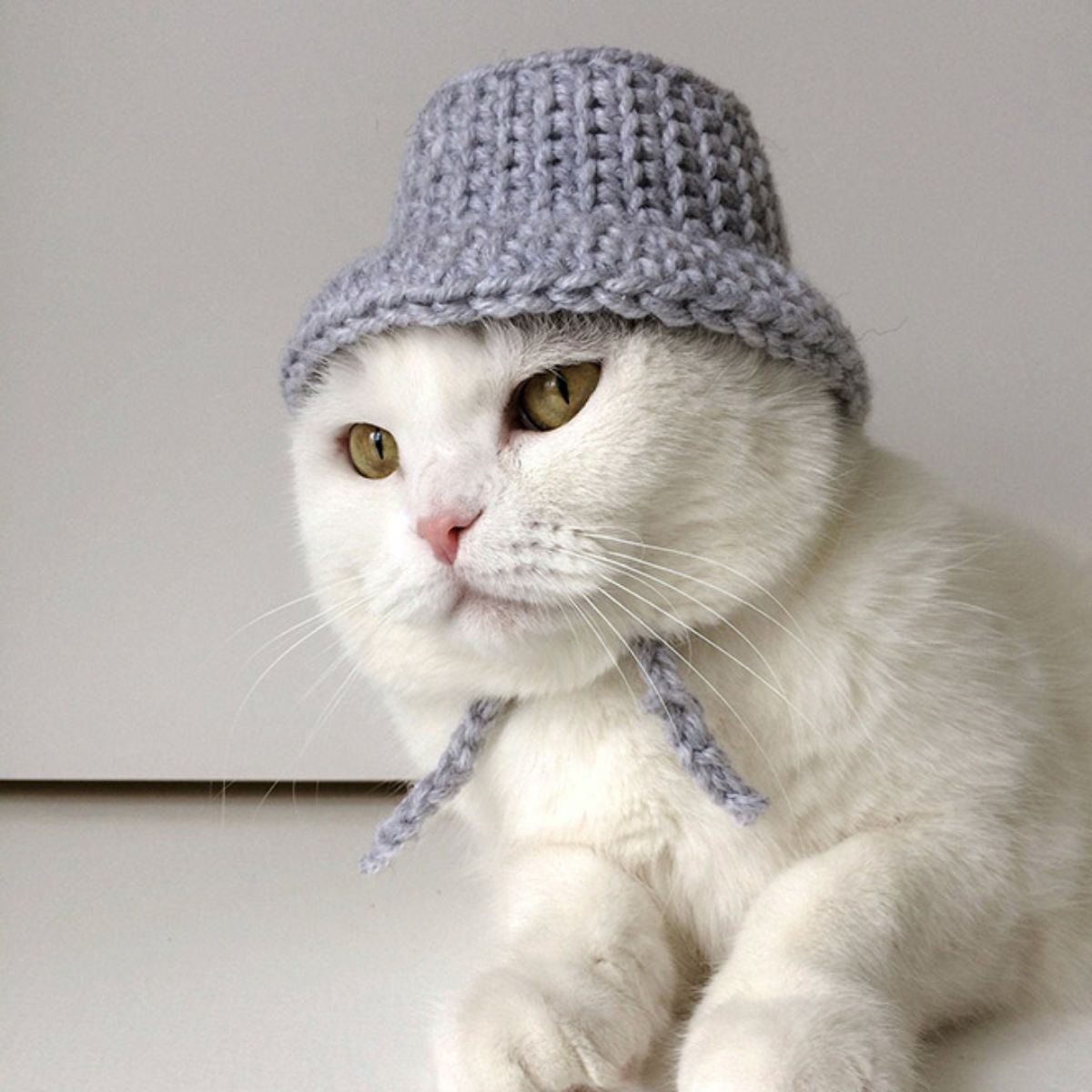white cat wearing grey crocheted bucket hat