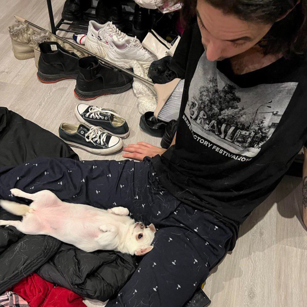 white chihuahua laying belly up on a someone's lap and looking up at the man lovingly