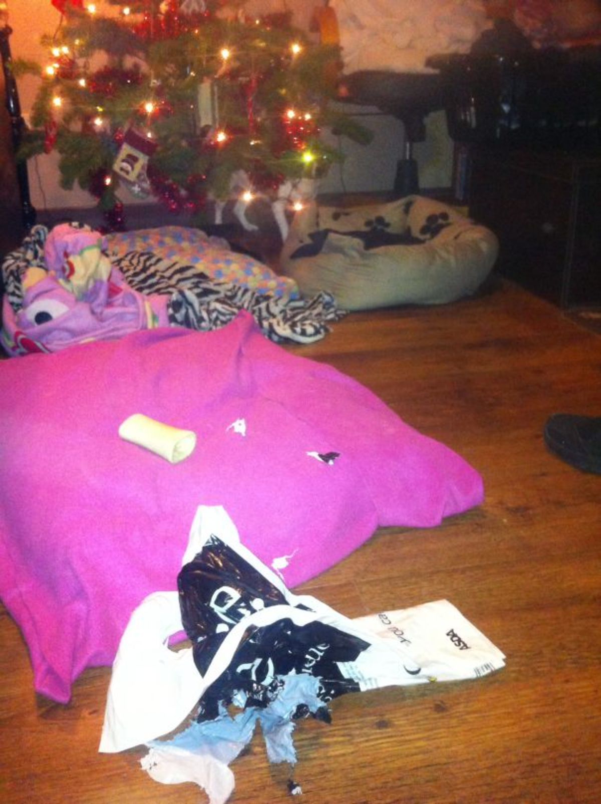 white dog hiding behind a lit up christmas tree with dog beds strewn around