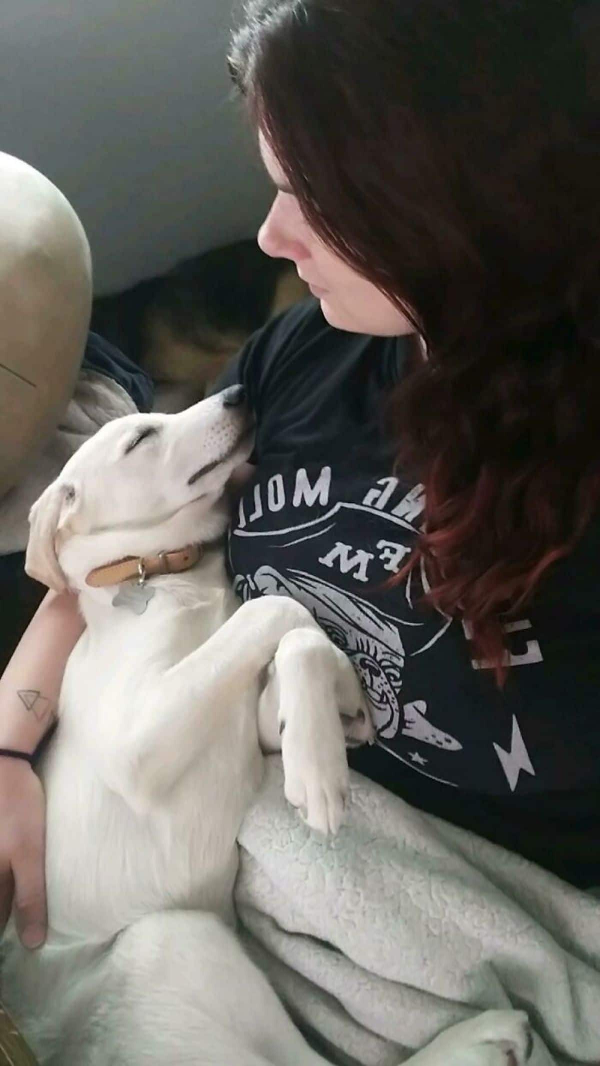 white dog sleeping on a woman's lap