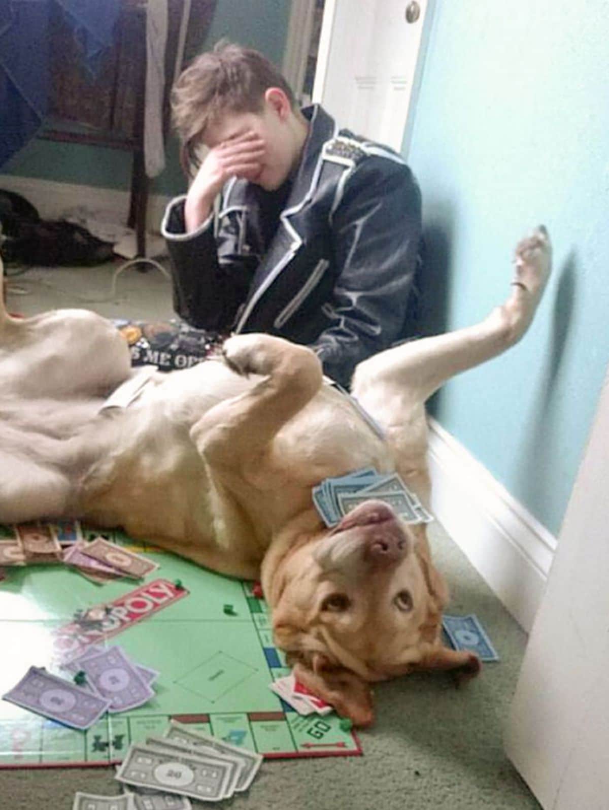 yellow labrador retriever laying belly up on a monopoly board holding monopoly money while someone is holding a hand to the face in frustration