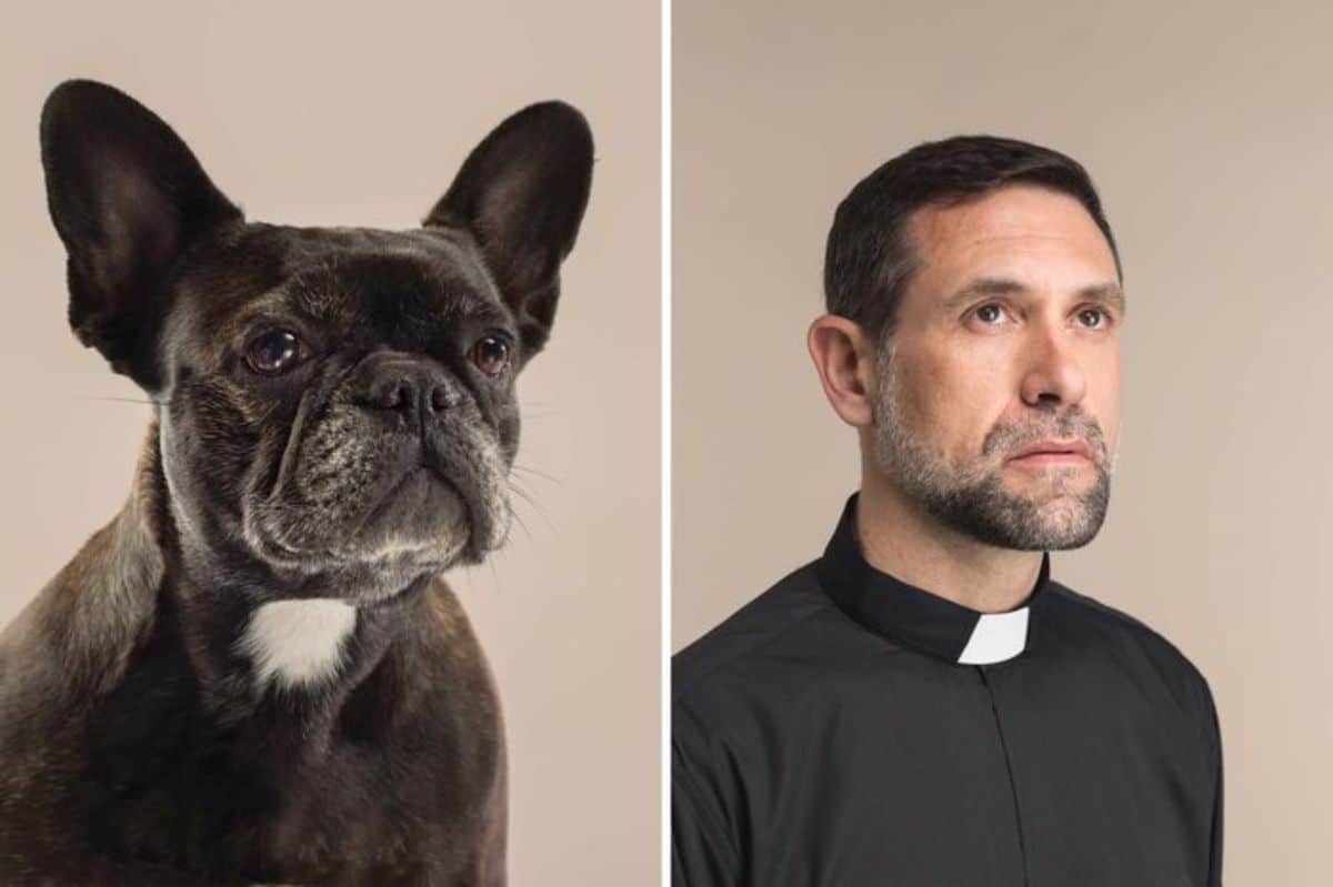 1 photo of a black pug with a white mark on the neck and 1 photo of a man in a black shirt with a bit of white on the collar