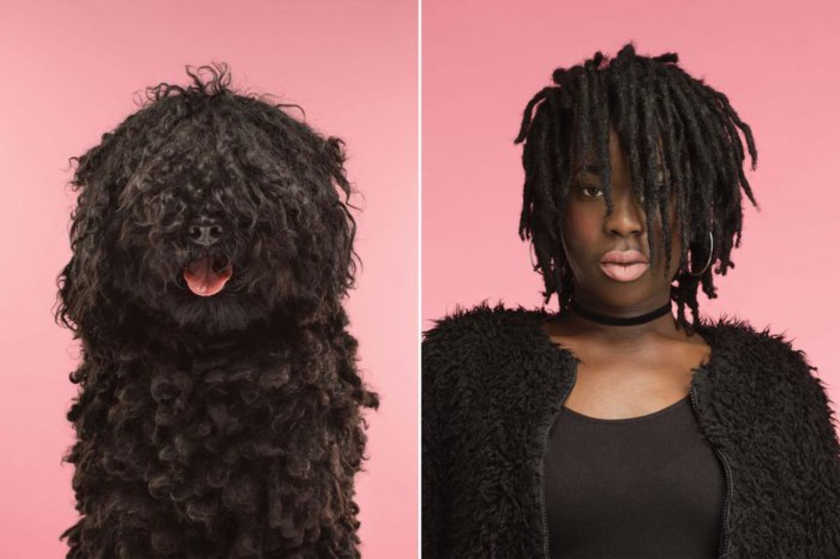 1 photo of a black fluffy dog with curly fur and 1 photo of a woman with dreads
