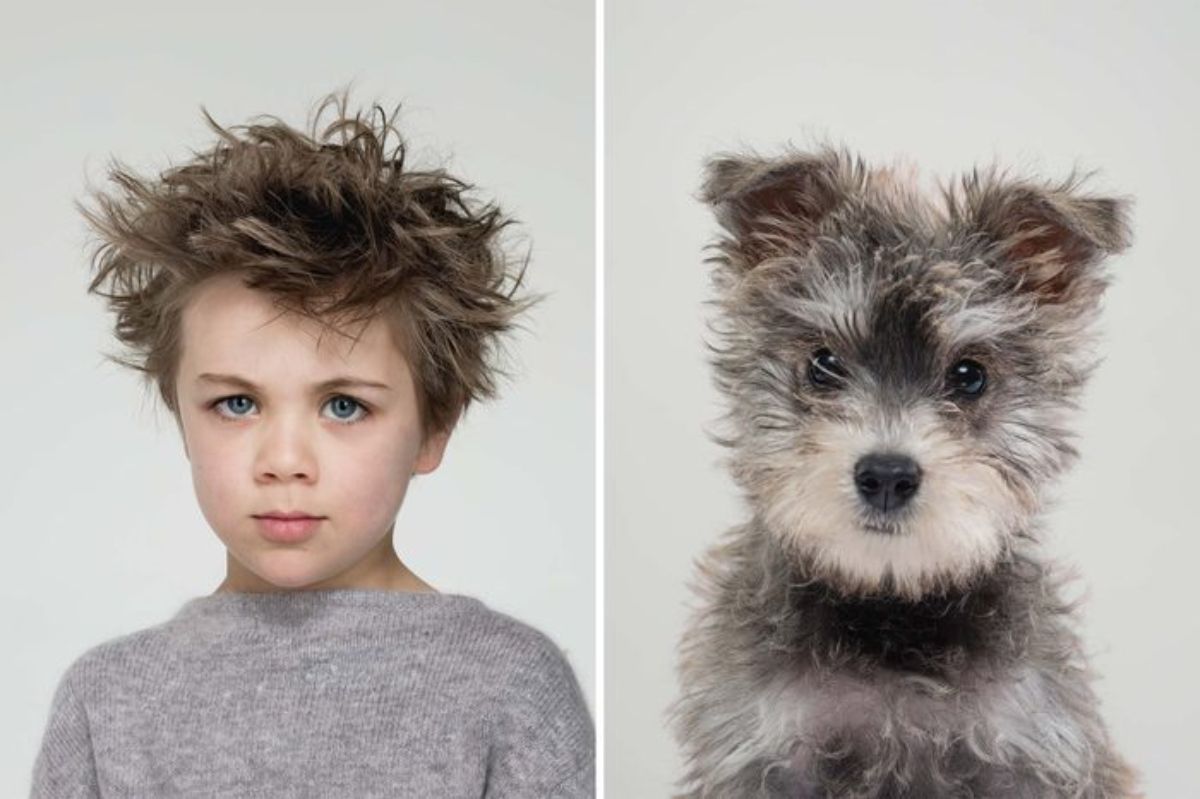 1 photo of a boy with messy hair and 1 photo of a black and white puppy with messy fur