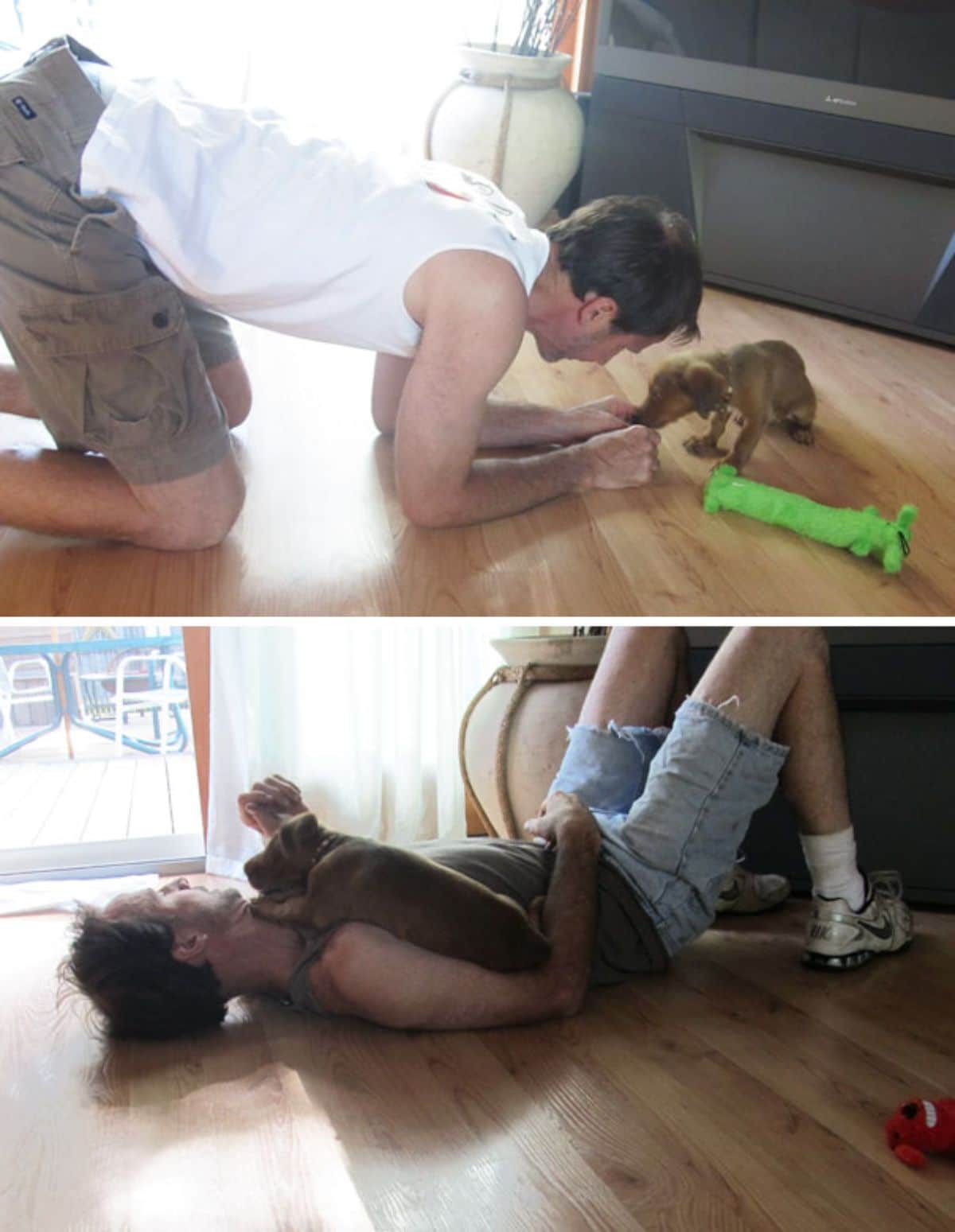 1 photo of man crouching to hold a brown puppy and 1 photo of the man with a brown puppy laying on the chest