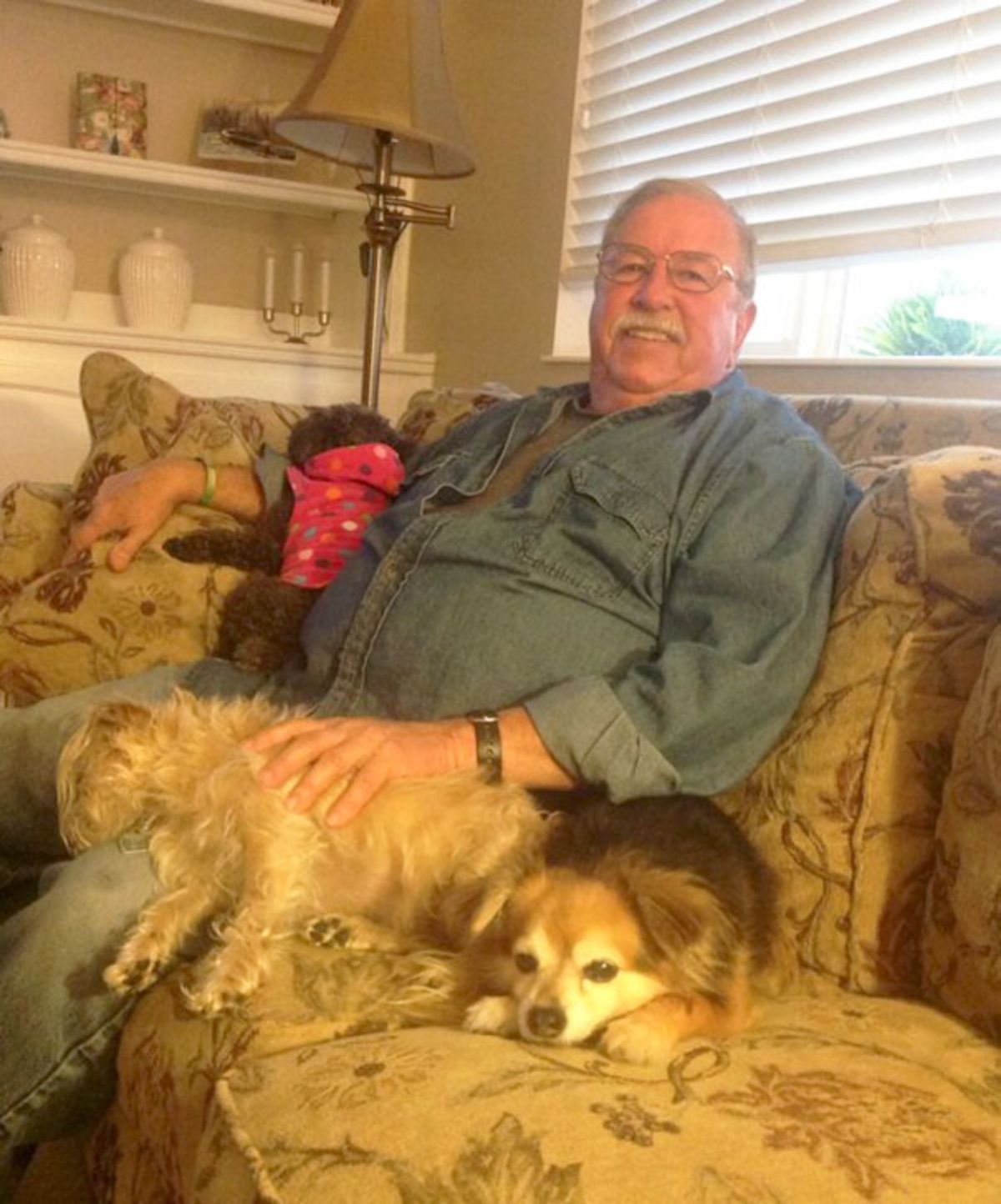 2 fluffy brown dogs and 1 brown black and white dog laying on a sofa with an old man