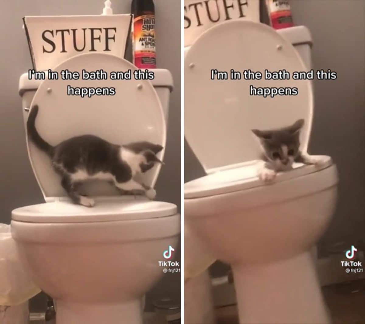 2 photos of a grey and white kitten playing on a toilet seat and then falling in with the caption saying I'm in the bath and this happens