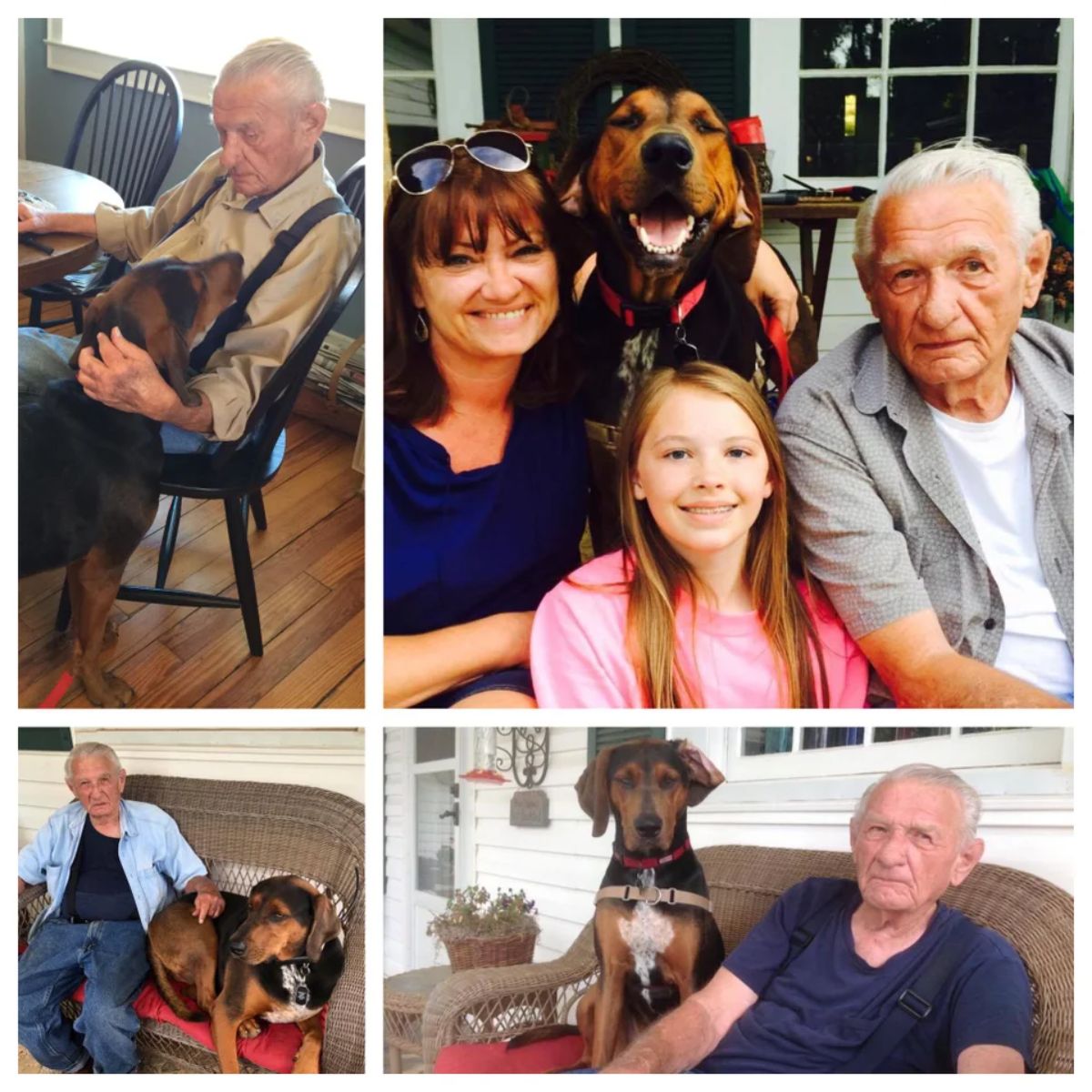 4 photos of an old man with a brown and black dog