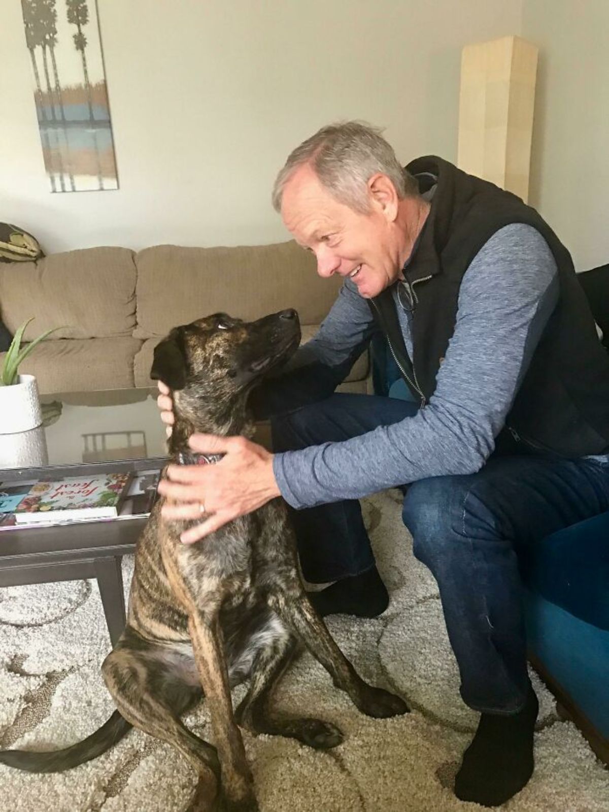black and brown brindle dog getting petted by an old man and looking lovingly up at the old man