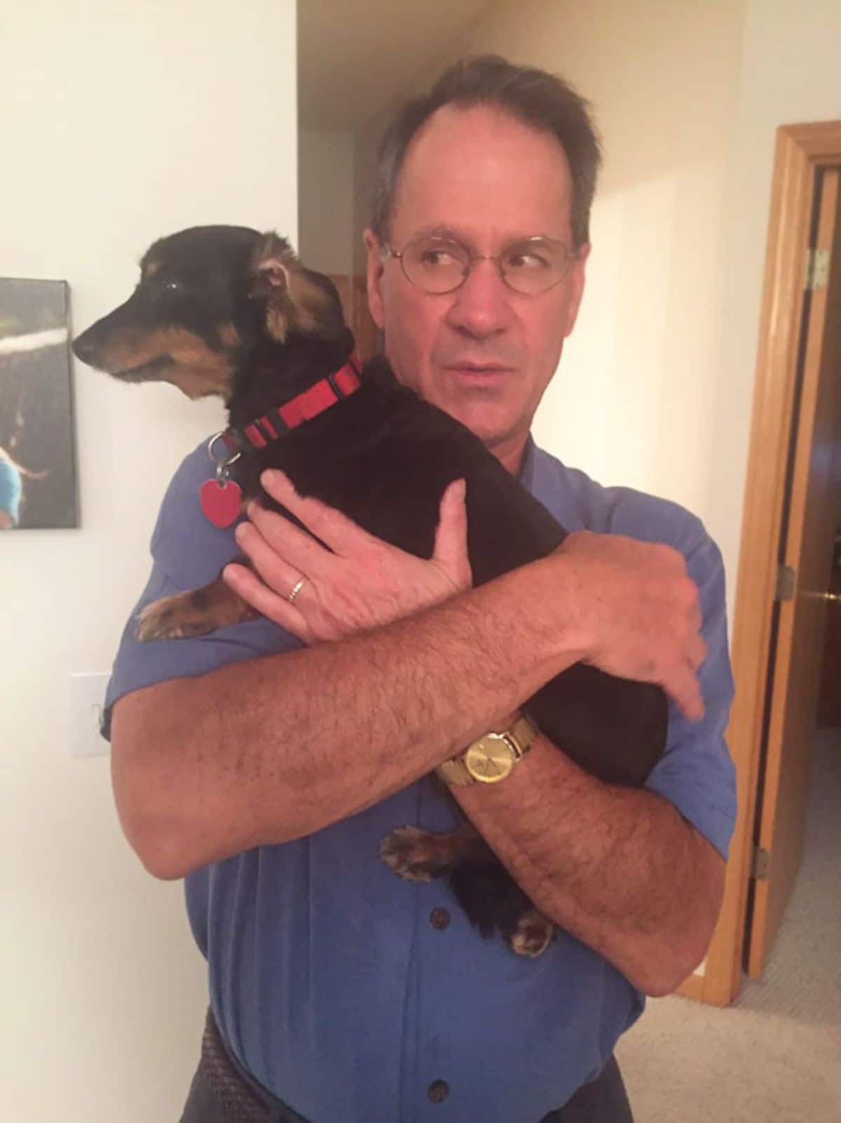 black and brown dachshund being held by a man