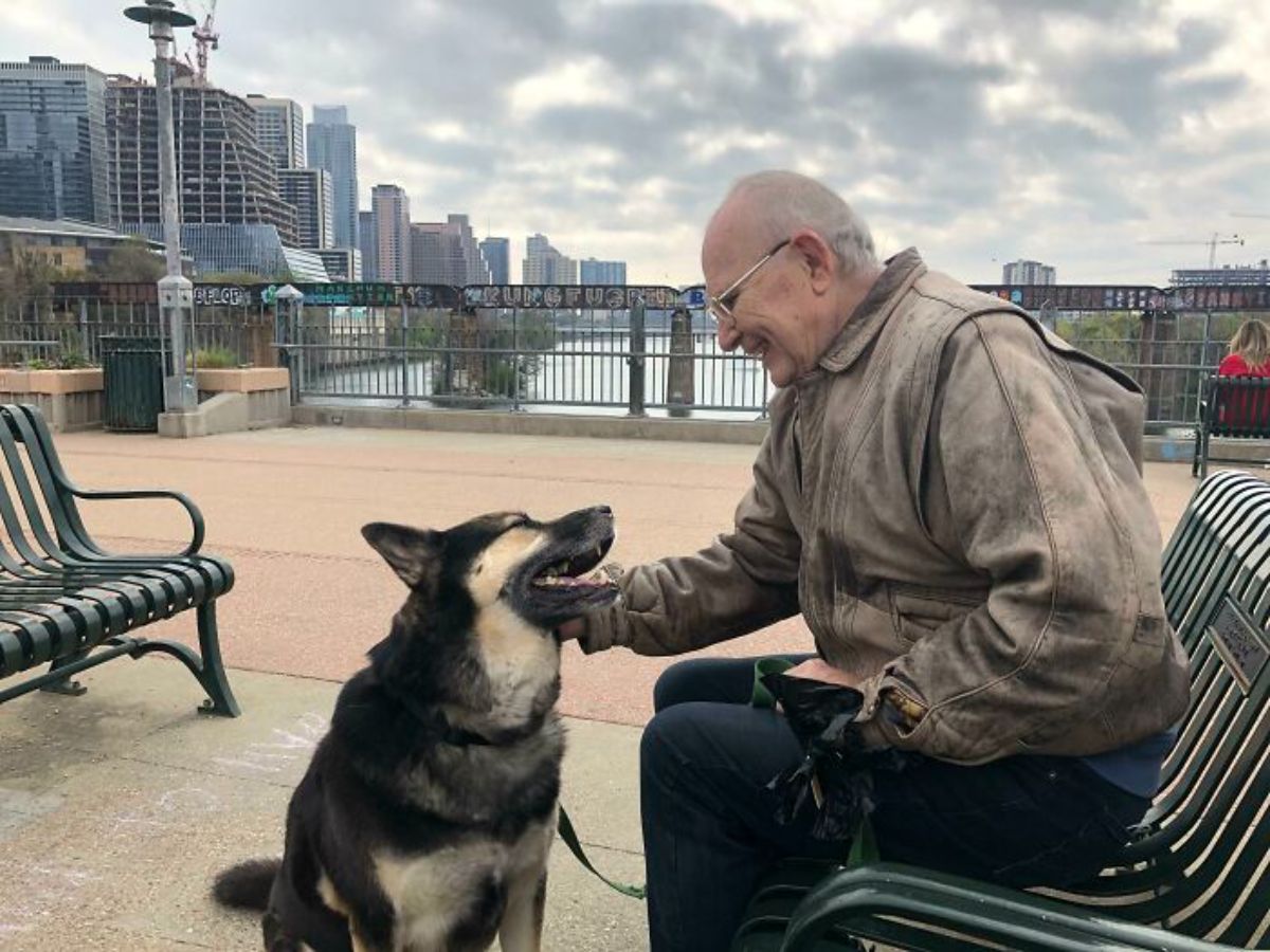 black and brown german shepherd sitting by an old man on a bench and both are looking lovingly at each other