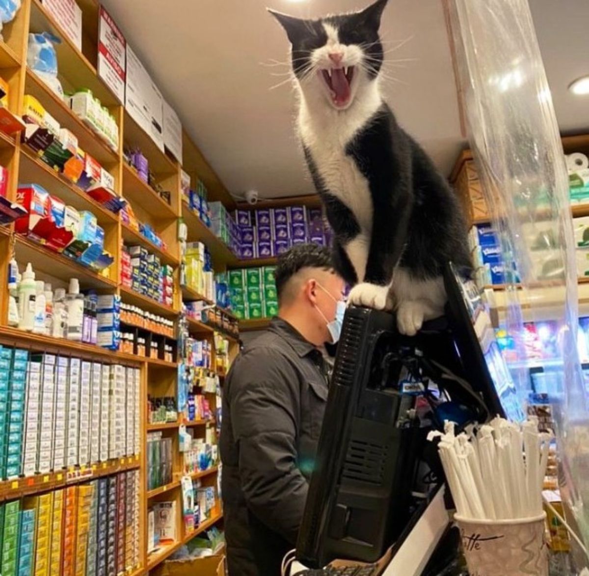 black and white cat hissing while standing on top of a black computer next to a cashier