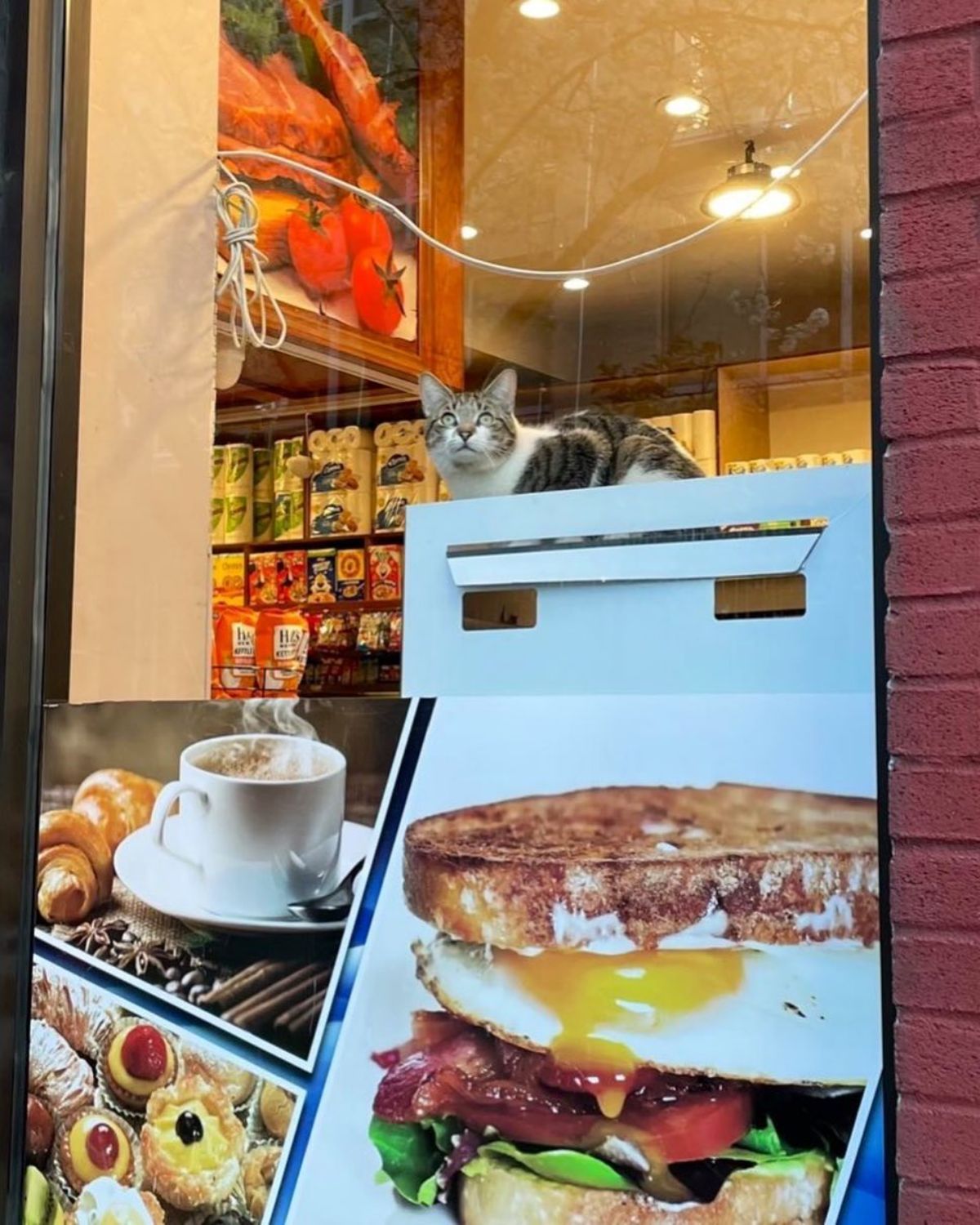 black and white cat sitting on top of food signs in a store