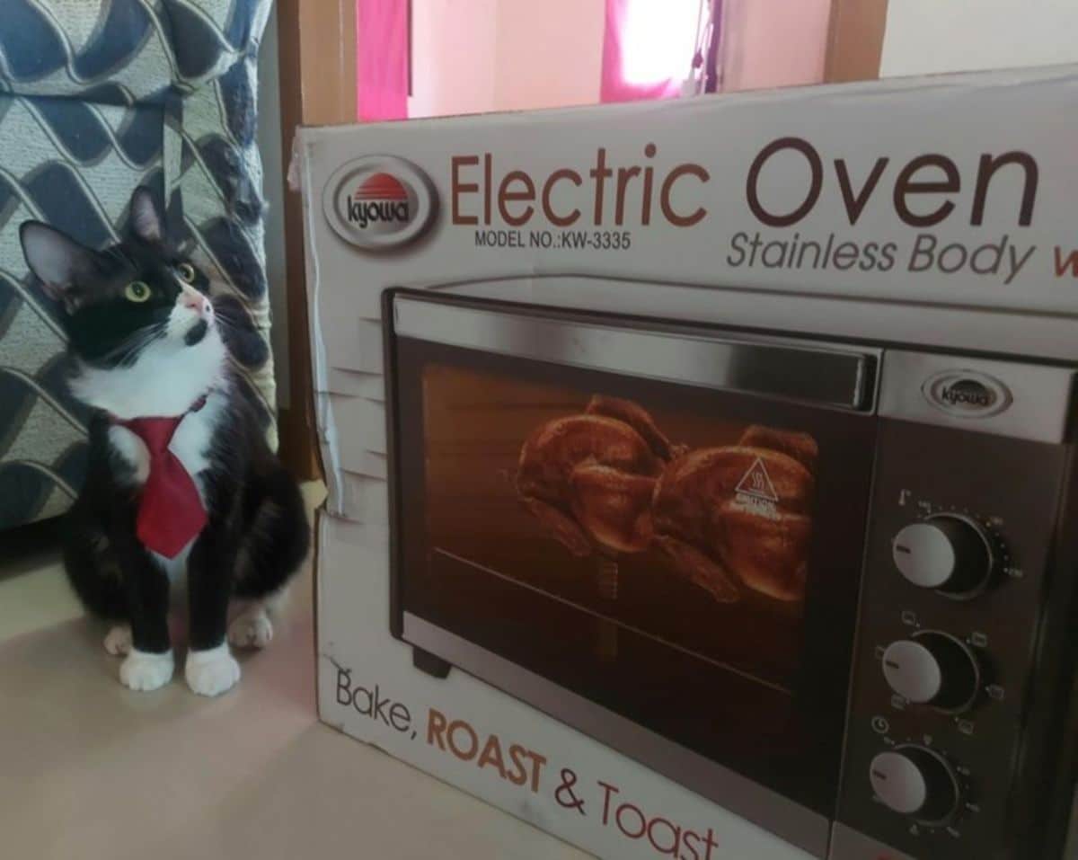black and white cat wearing a red tie sitting next to an electric oven cardboard box