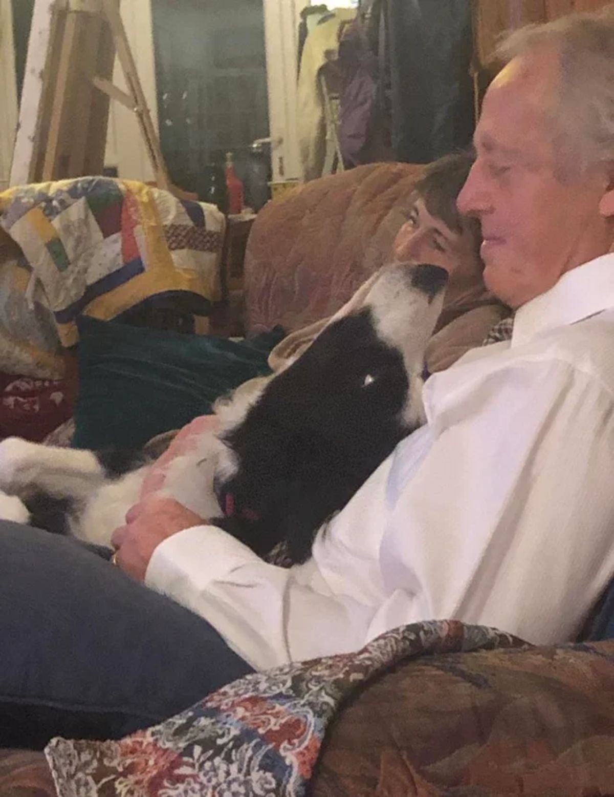 black and white dog laying on an old man's lap and the dog is tilting its head up to look at the man