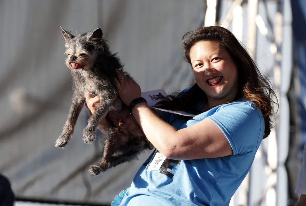 black and white dog with a tongue sticking out being held up by a woman