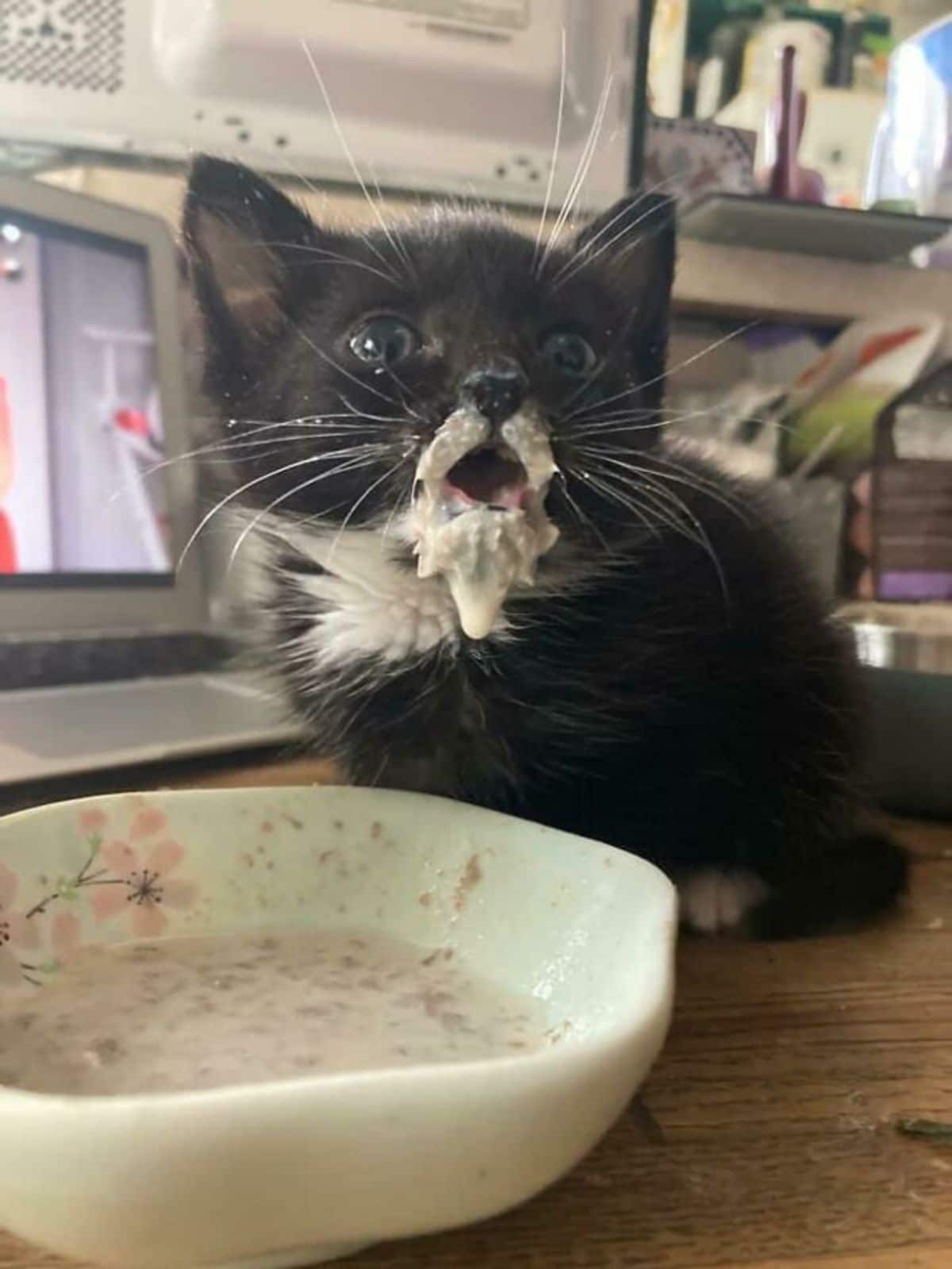 black and white kitten drinking milk out of a bowl with lots of milk around the mouth