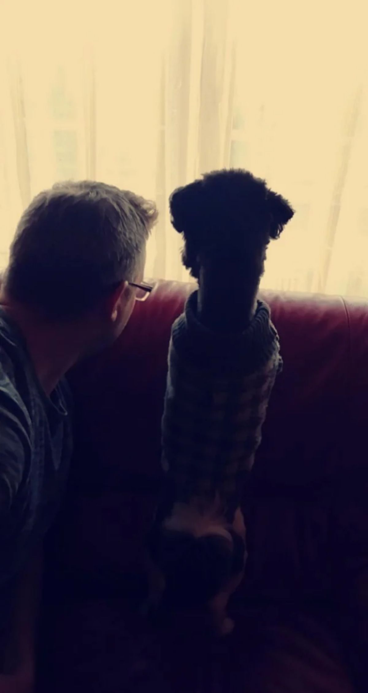 black bichon frise on a brown sofa next to a man with both looking out a window