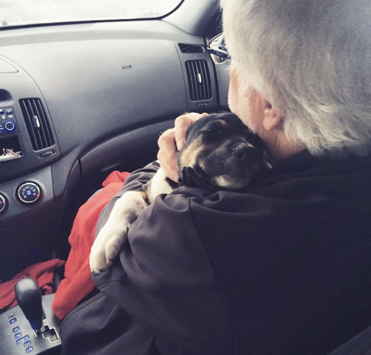 black brown and white puppy being held by an old man inside a vehicle