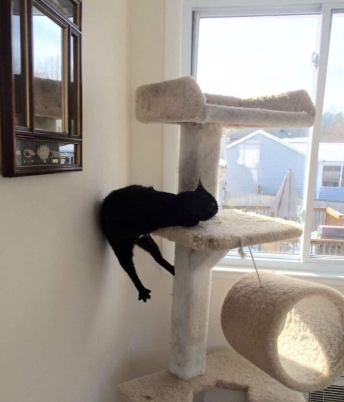 black cat laying halfway on a light brown cat tree
