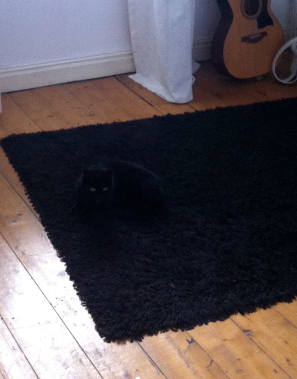black cat laying on a black fluffy rug