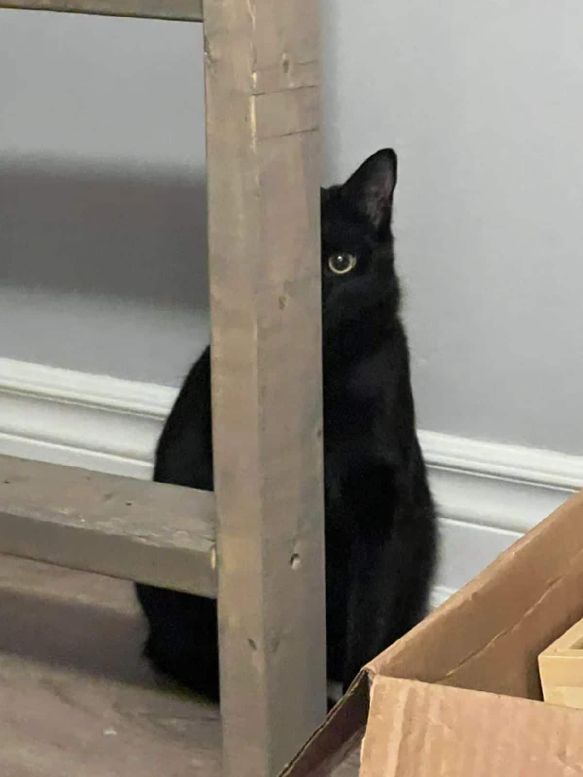 black cat sitting behind a table leg with part of the face hidden behind the table leg