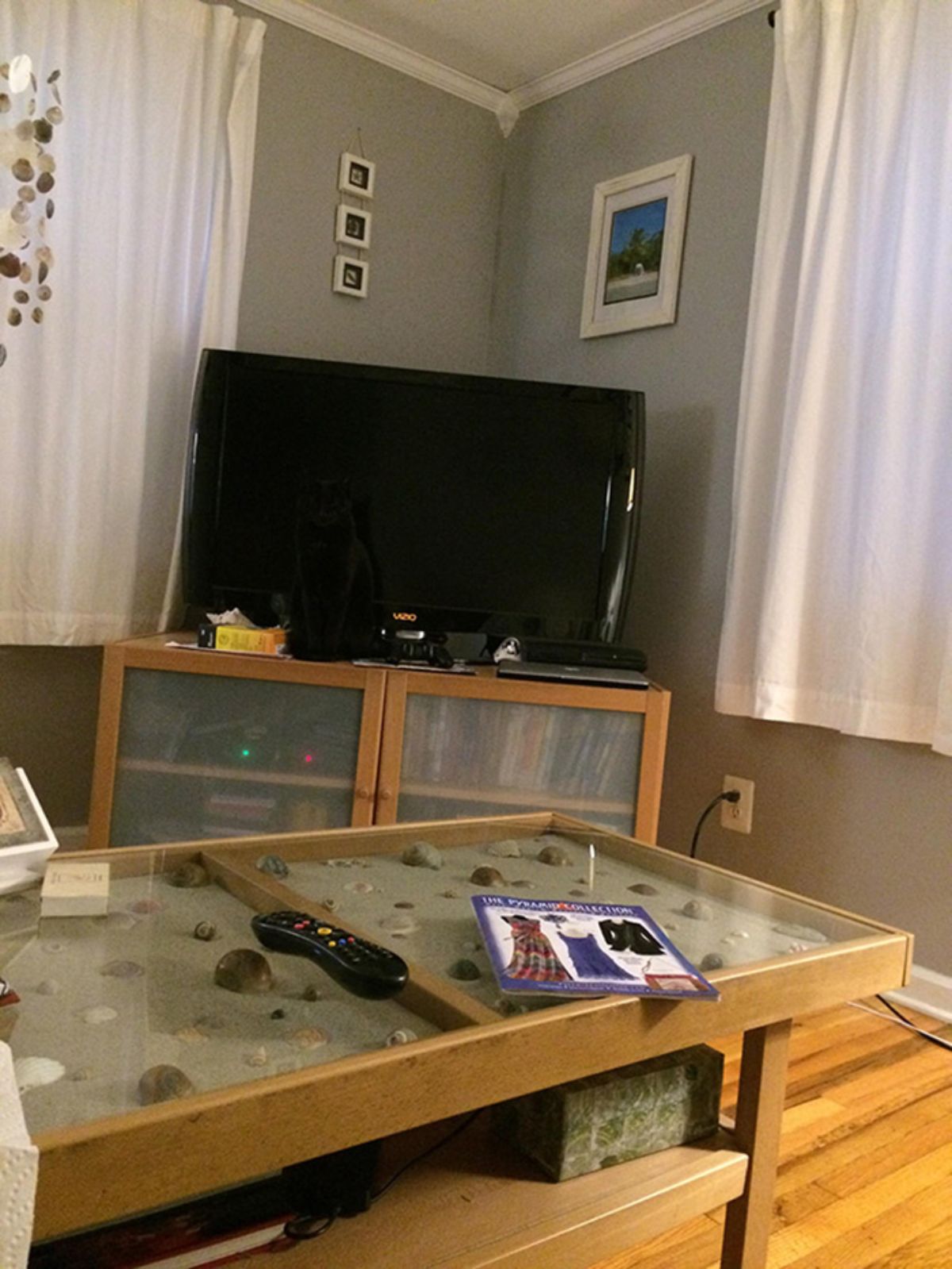 black cat sitting on a tv table in front of a black tv