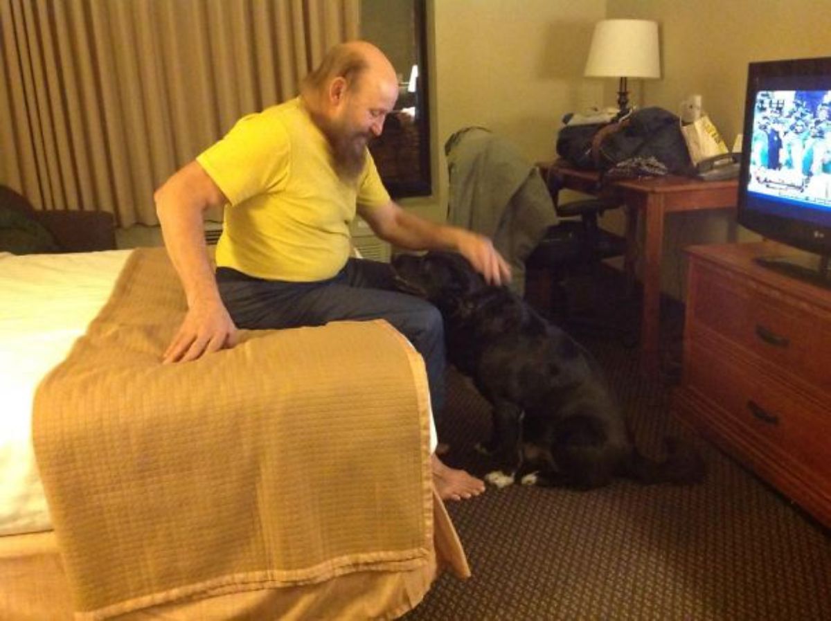 black dog with white paws sitting at the feet of a man sitting on a bed