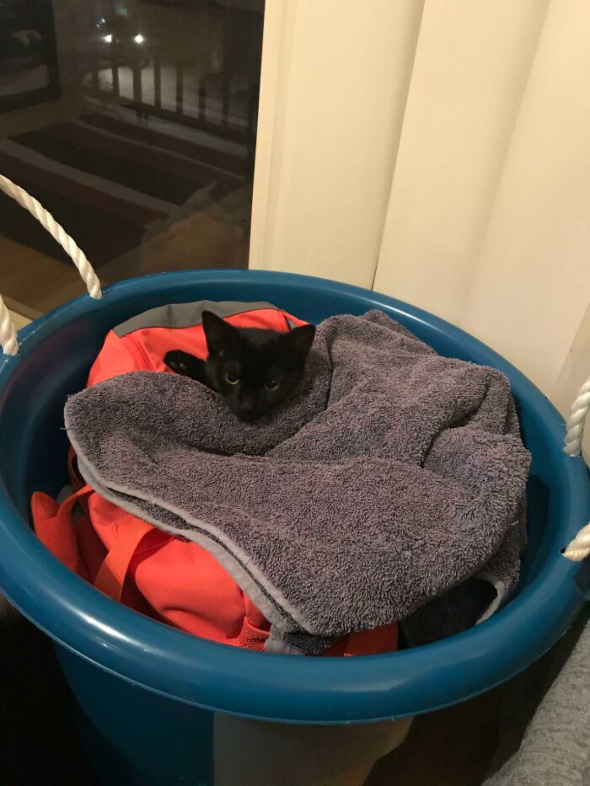 black kitten laying in a blue laundry basket tucked in under a dark grey towel