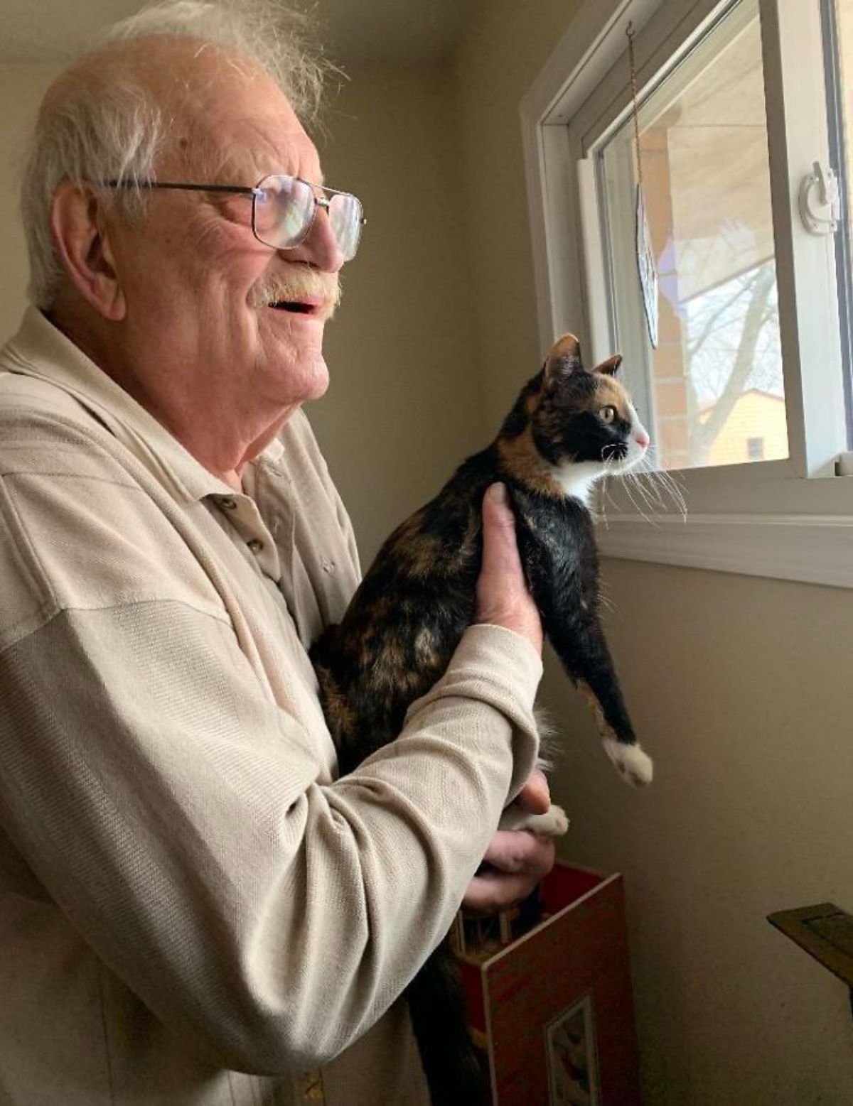 black orange and white cat being held up at a window by an old man