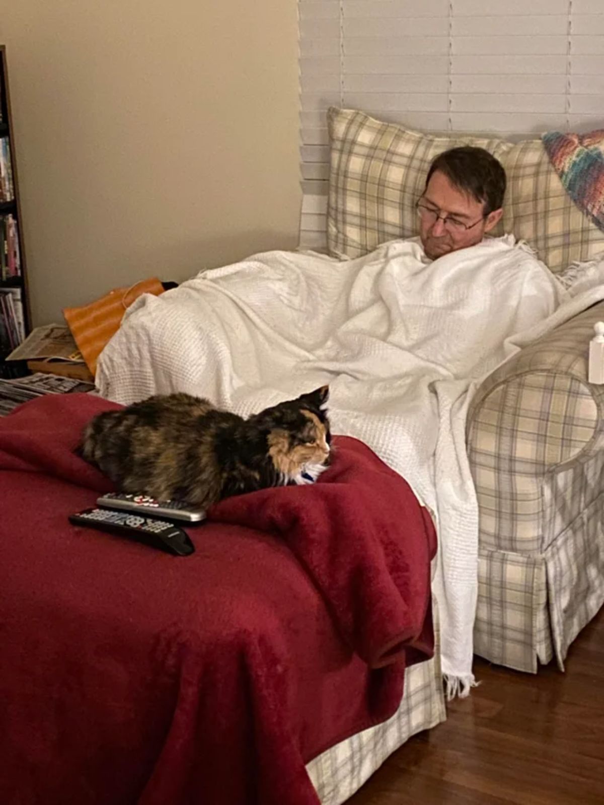 black orange and white cat laying on a red blanket in front of a man covered in a white blanket