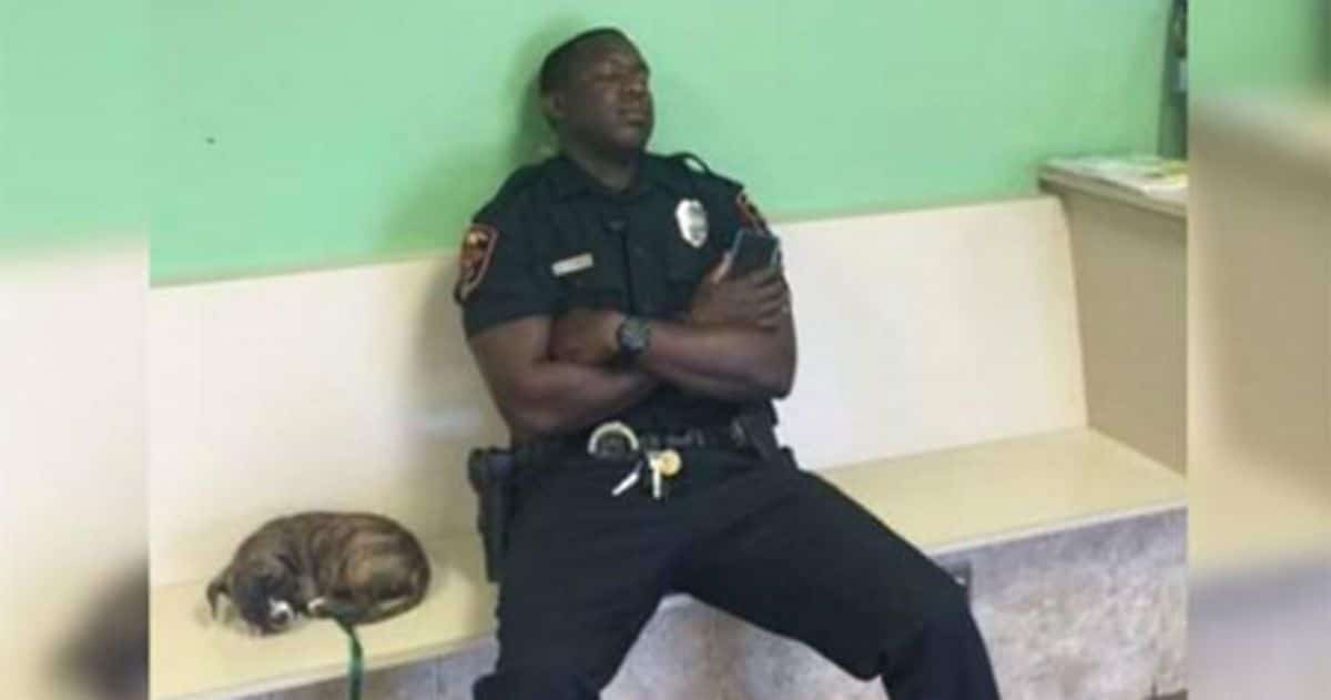 black police officer sleeping on a bench with a brown black and white puppy sleeping on the bench next to him
