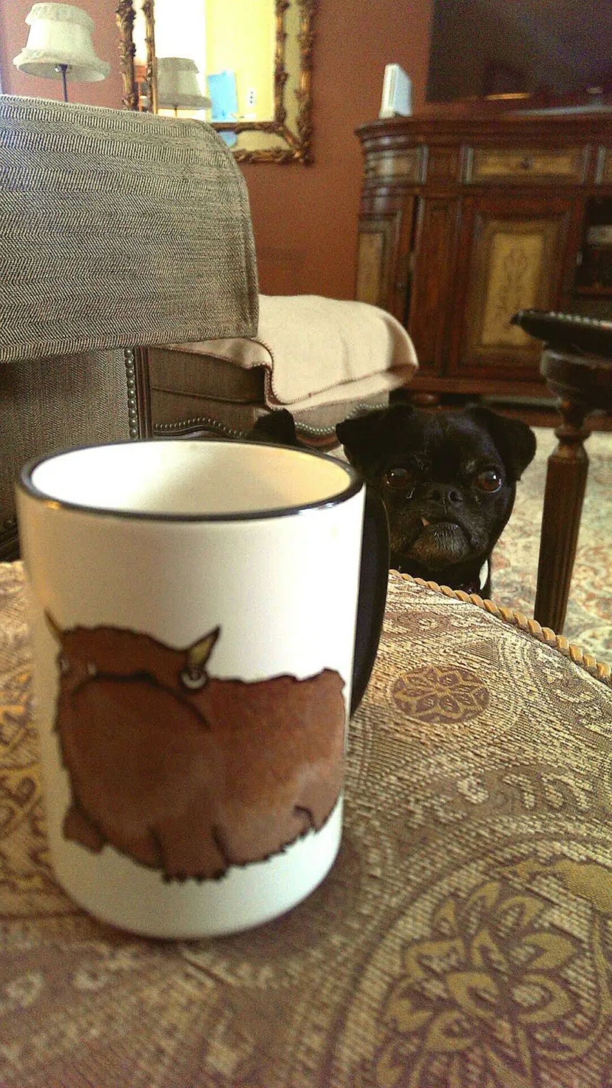 black pug sitting on the floor behind a brown ottoman with a mug with a picture of the same dog on it