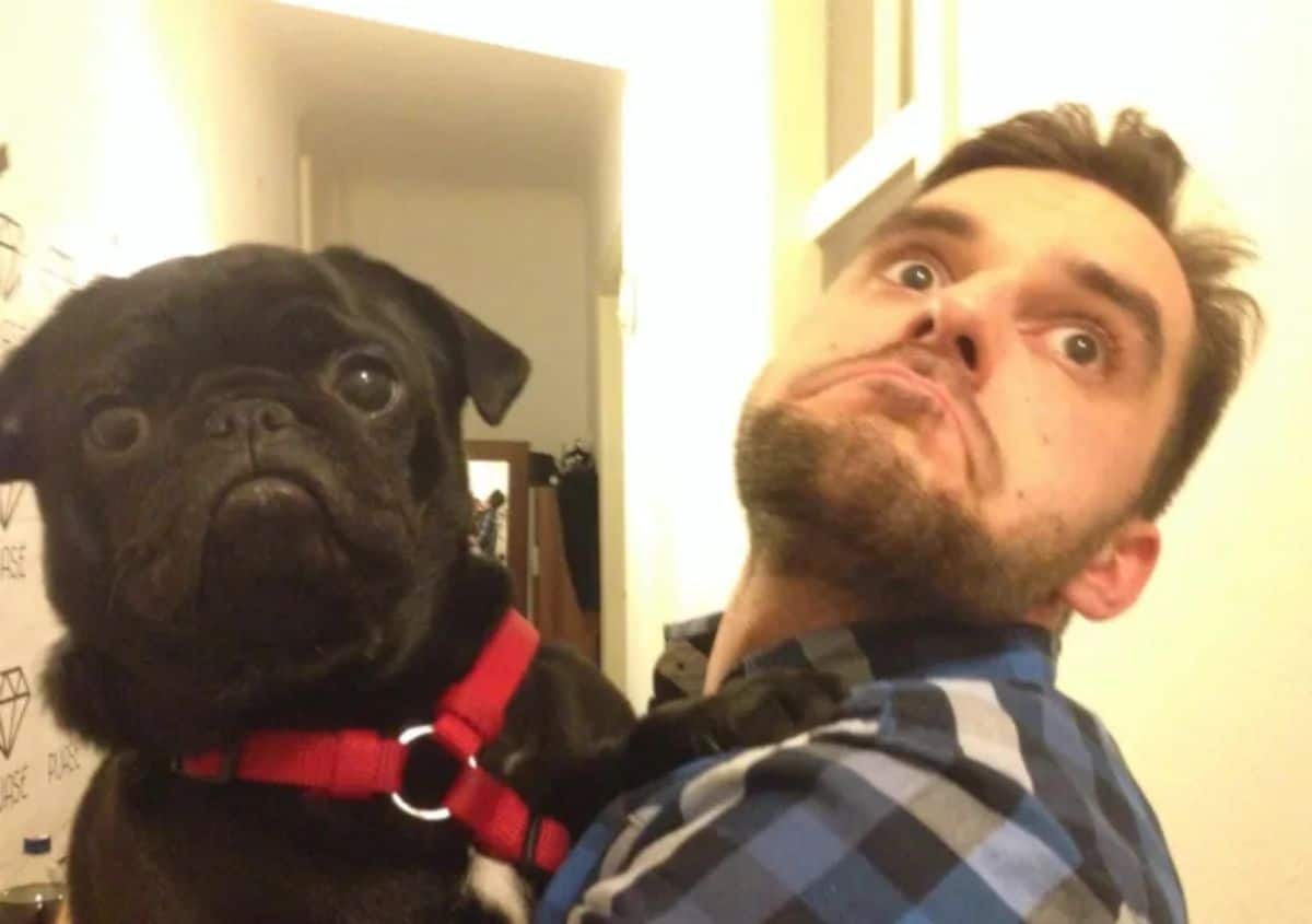 black pug with a pout being held by a pouting man