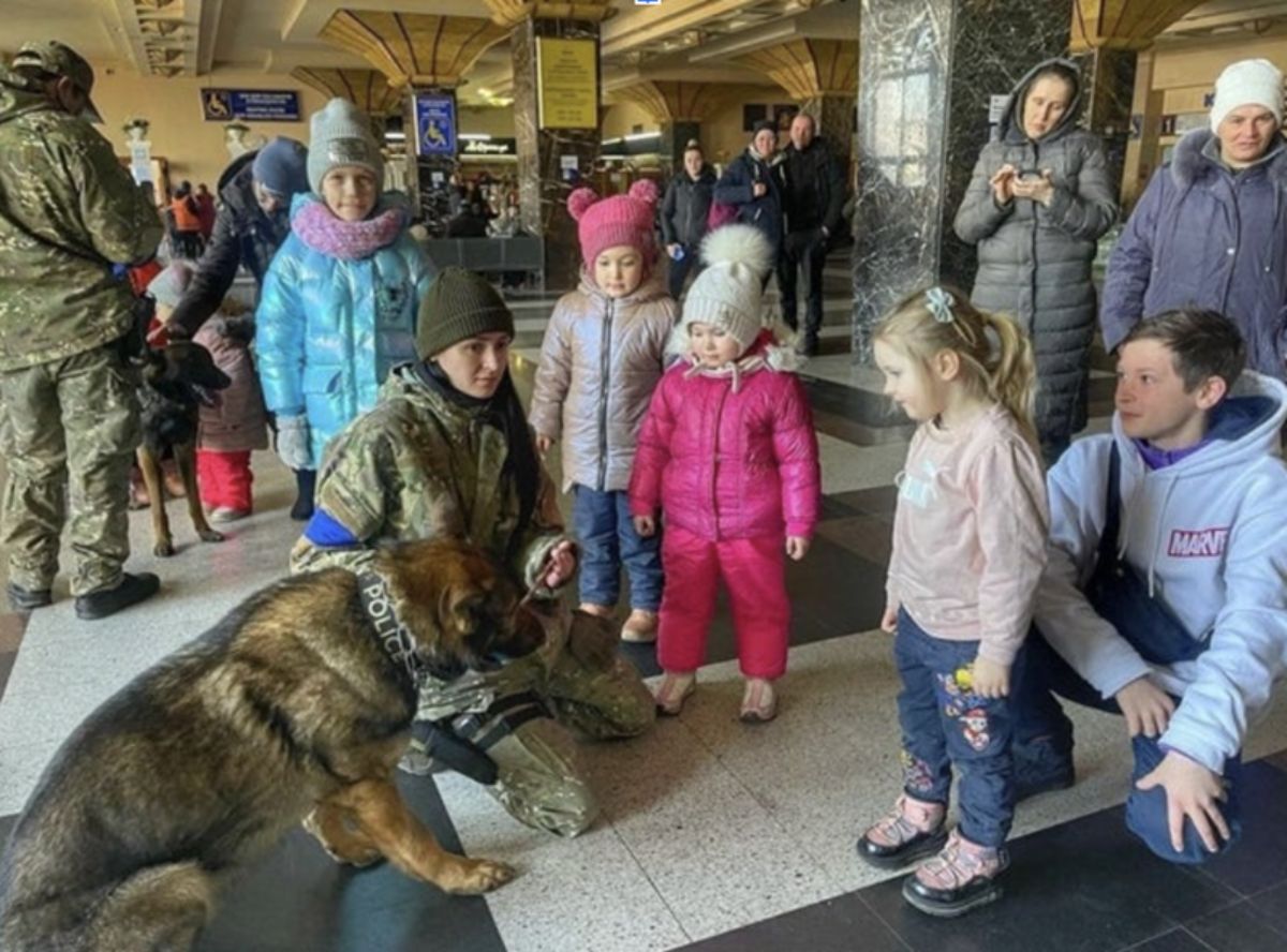 brown and and black dog in police collar with miltary officers in front of a group of children