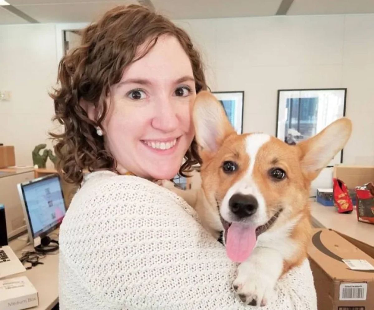 brown and white corgi puppy being held by a woman in an office